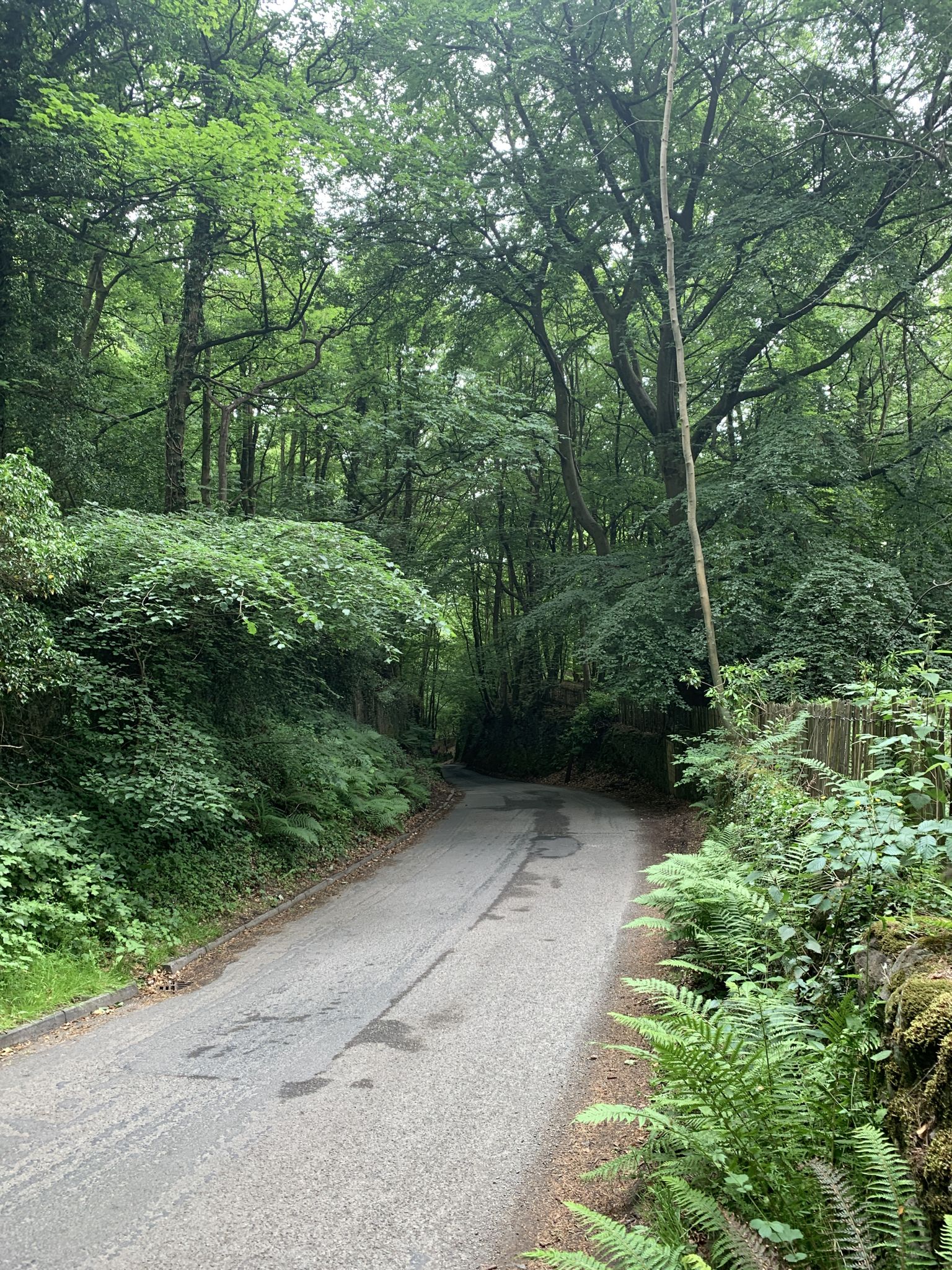 Arrow Pass steep narrow climb