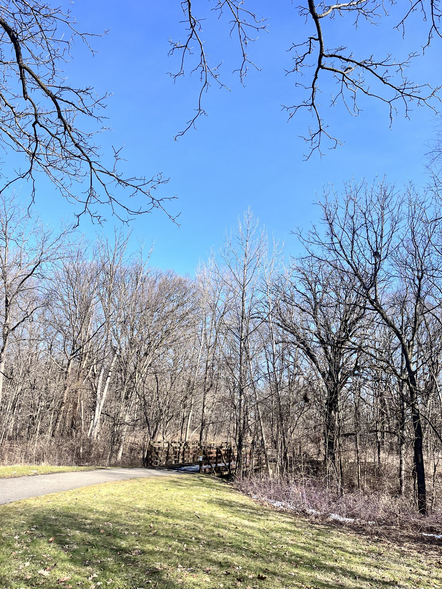 Grassy area next to a forest of bare trees under a bright blue sky. - Great Western Trail – Leroy Oakes Forest Preserve loop from Kane County