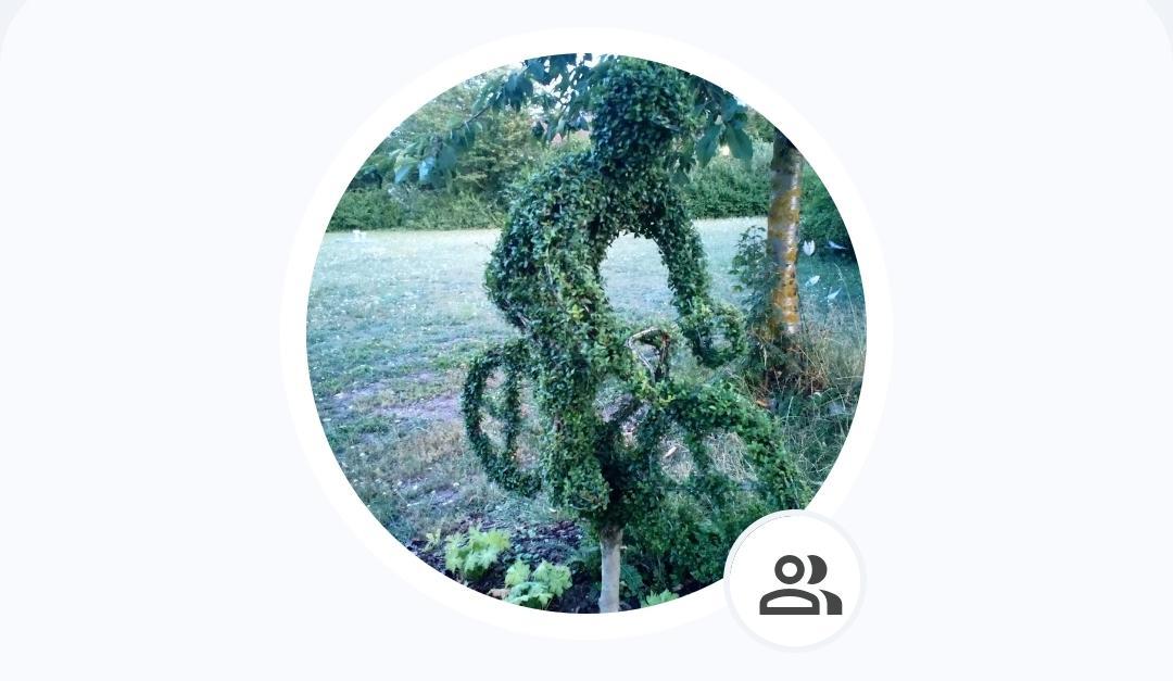 user avatar