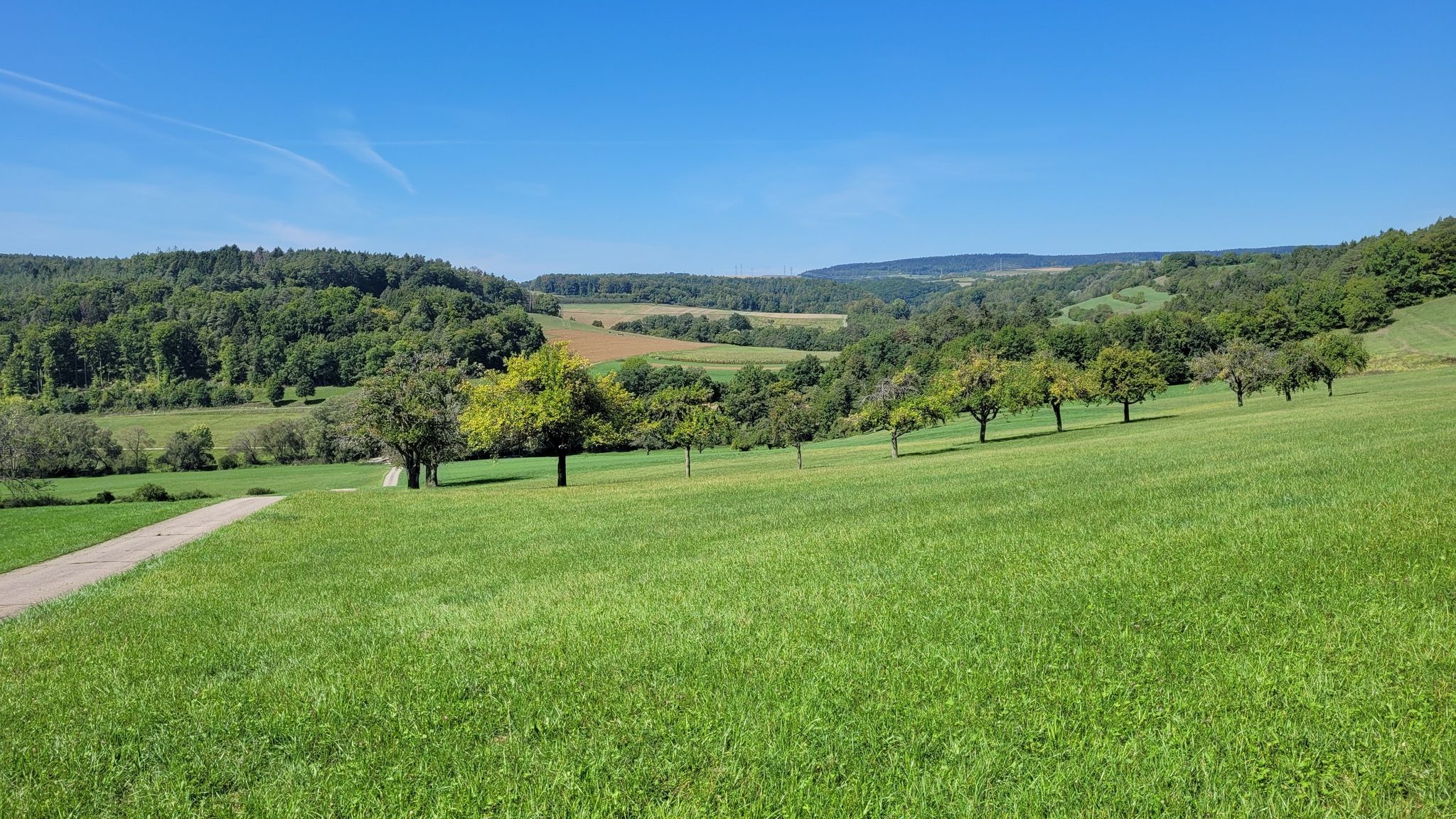 nach Büßlingen