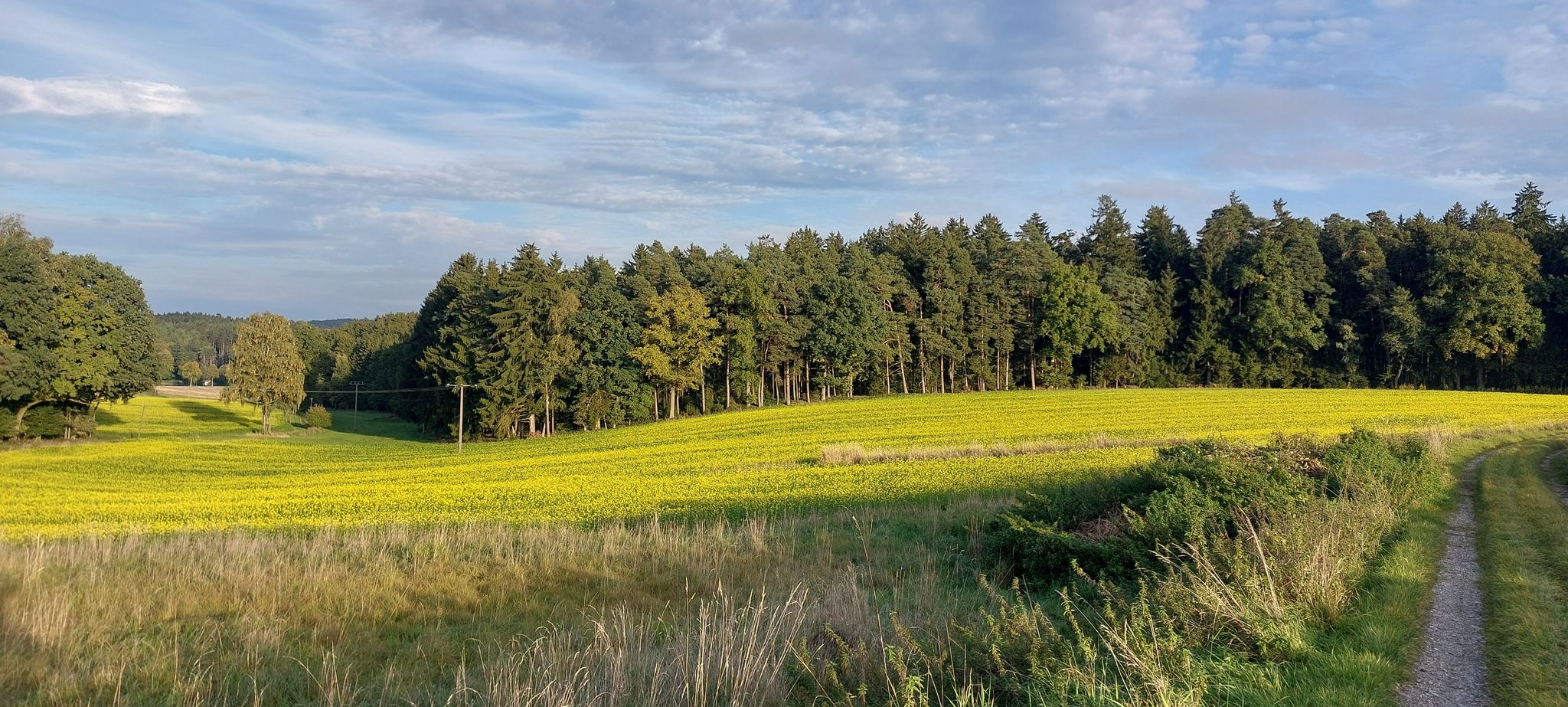 ...riecht no a bissl nach Sommer 🥰