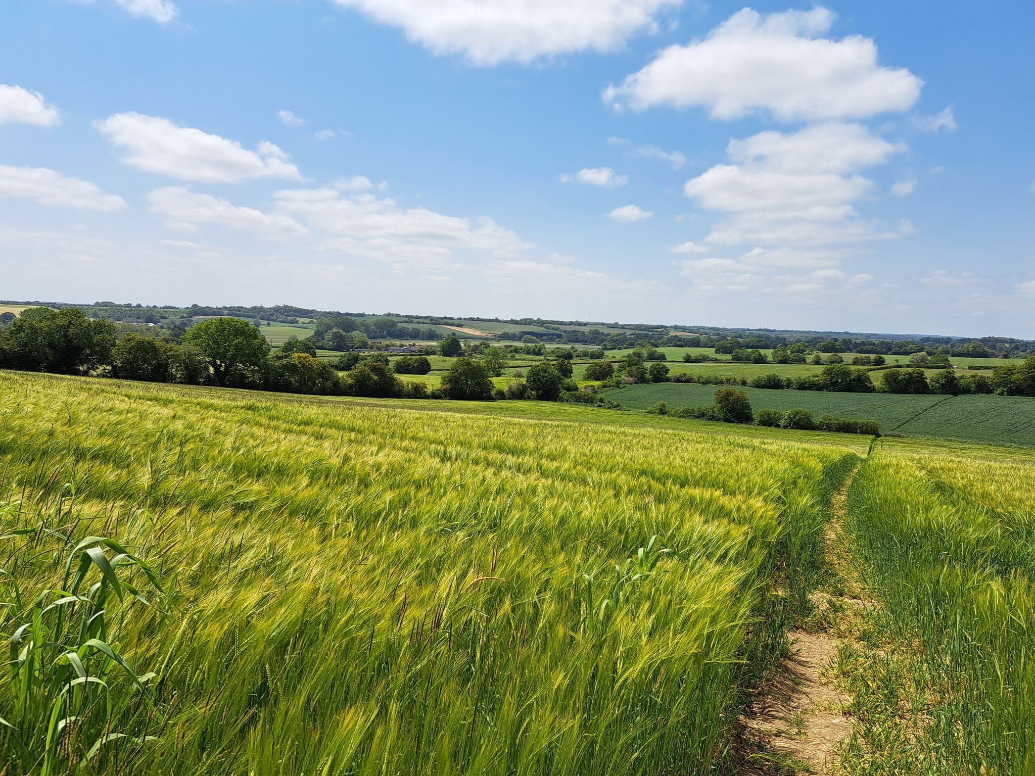 View just outside Glemsford