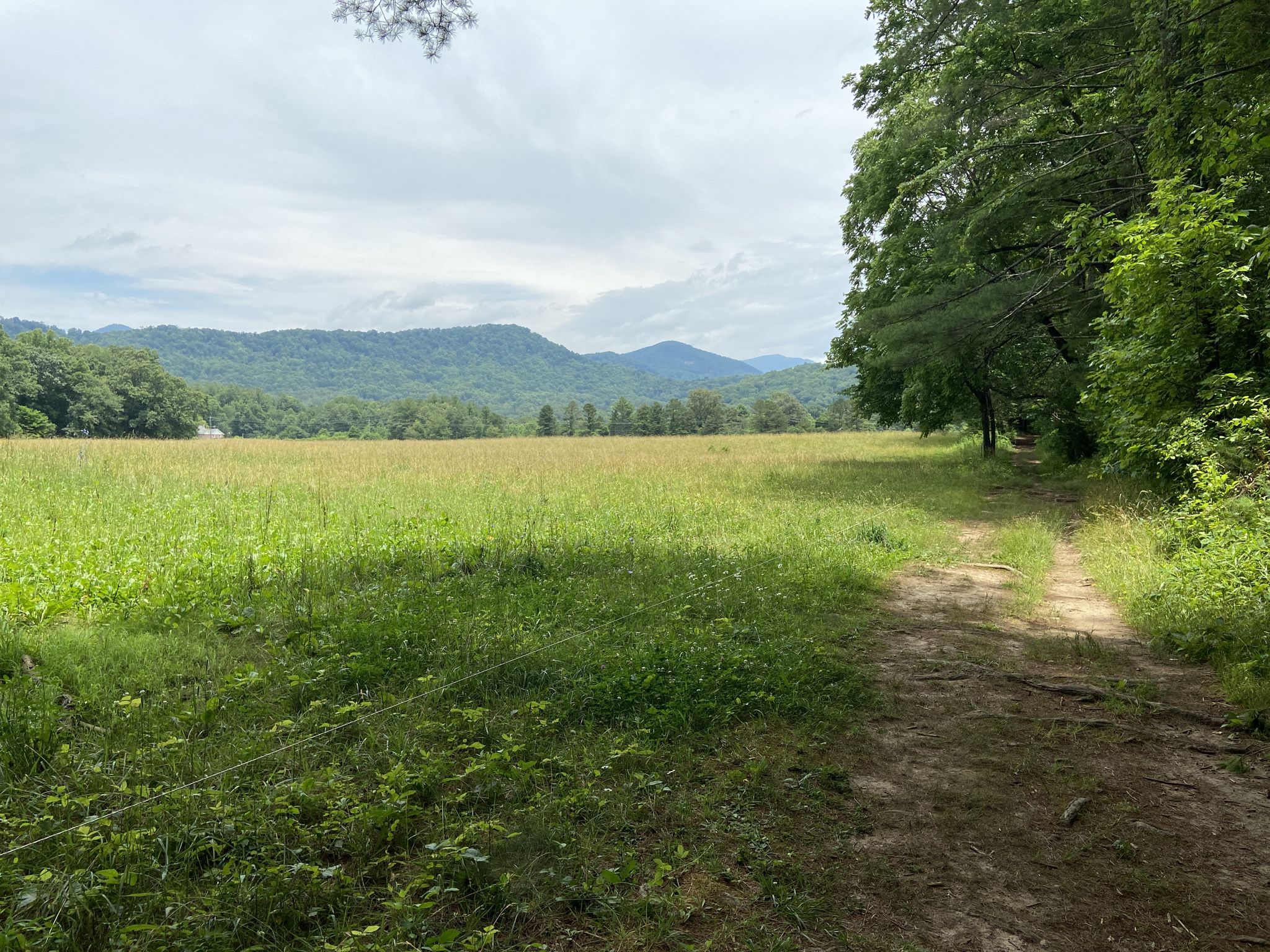 A vast green field with distant mountains under a cloudy sky. - Bull Creek – Warren Wilson River Trail loop from Warren Wilson College