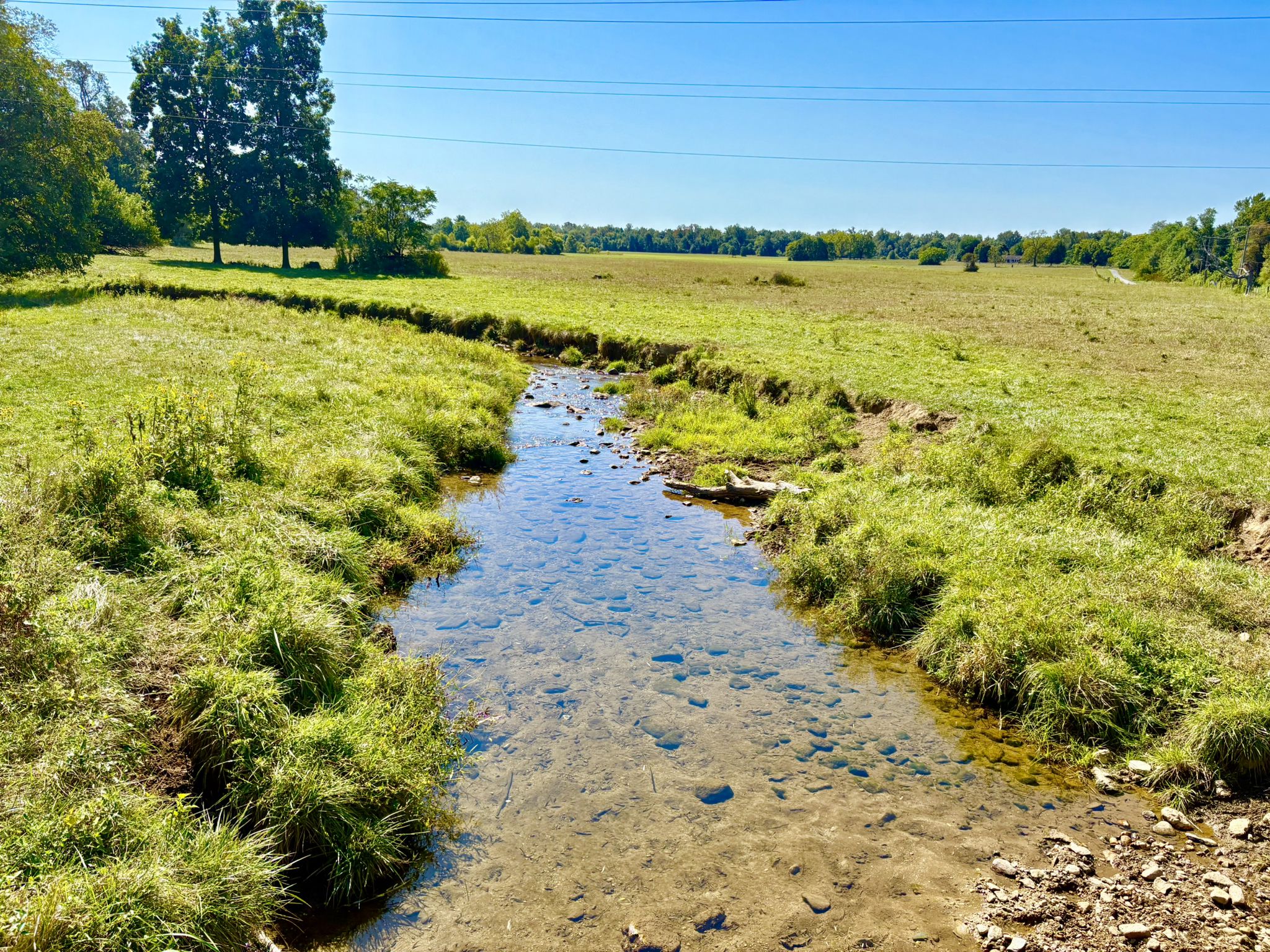 Clear shallow stream flowing through a vibrant green grassy field. - Sachs Covered Bridge – Roddy Road Covered Bridge loop from Thurmont