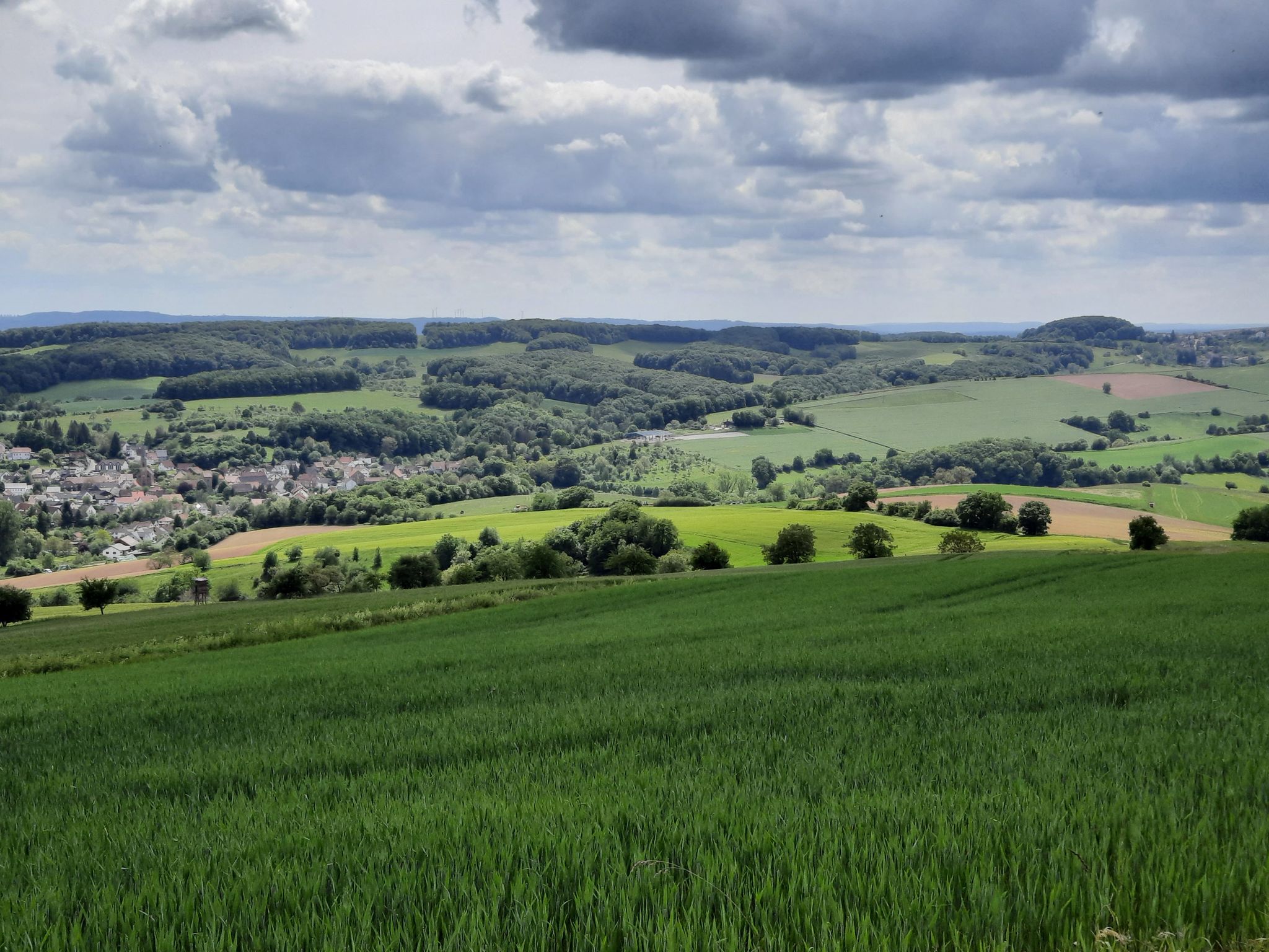 Panorama 1