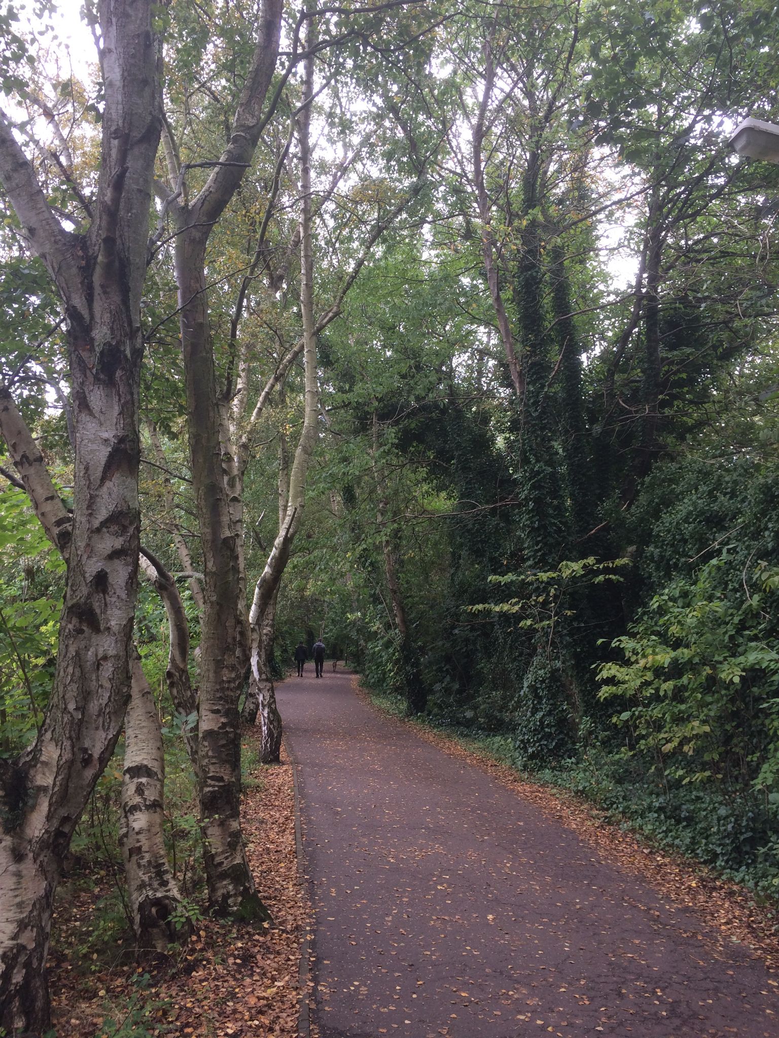 Warriston Path