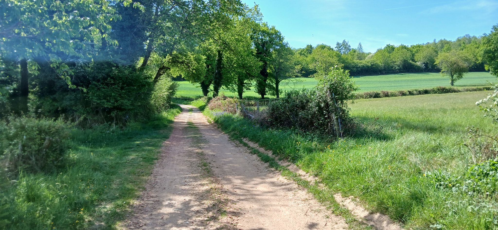 Un beau chemin pour se faire plaisir !