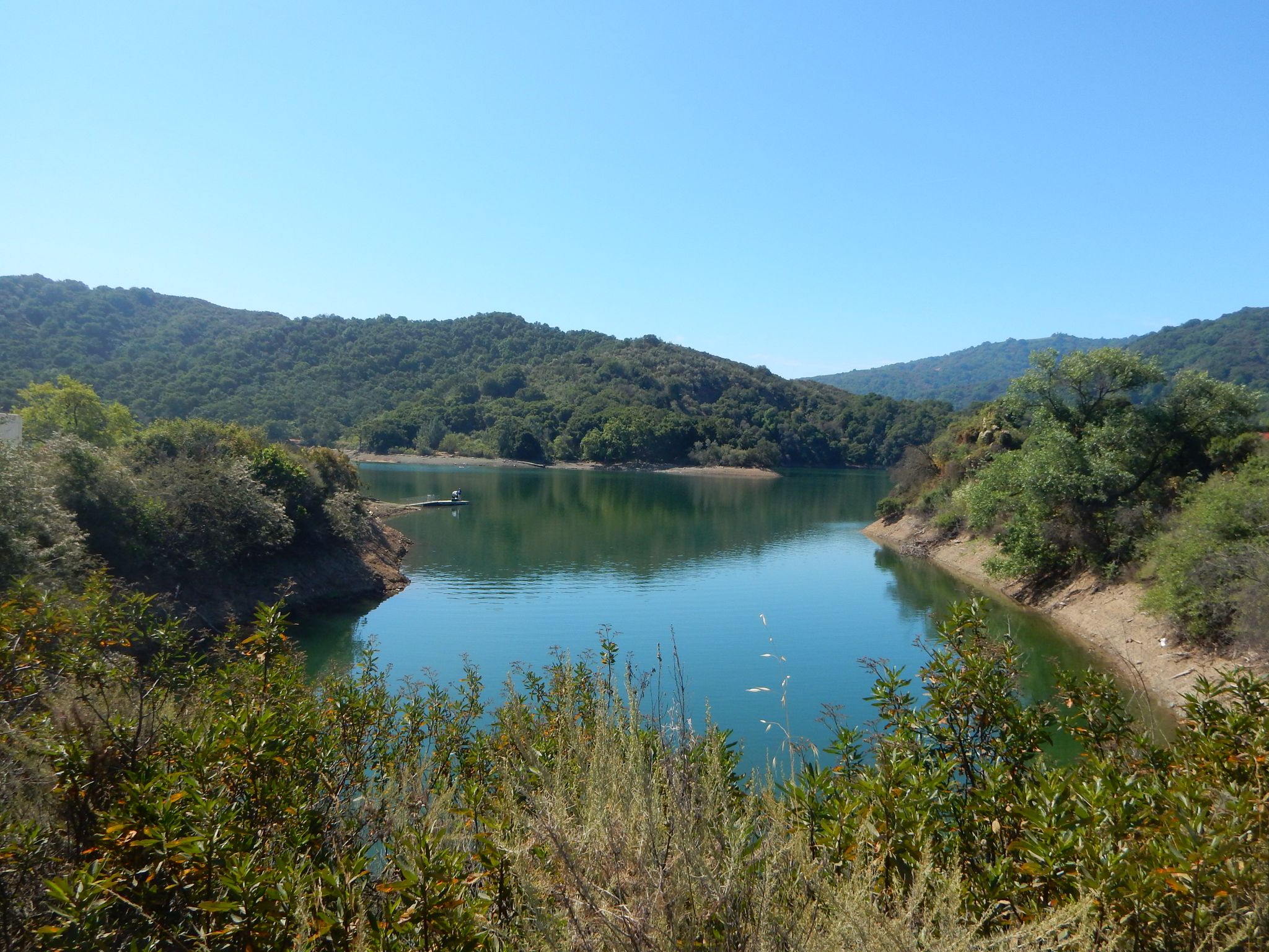 A clear blue lake surrounded by lush green forested hills on a sunny day. - Stevens Creek Reservoir Loop