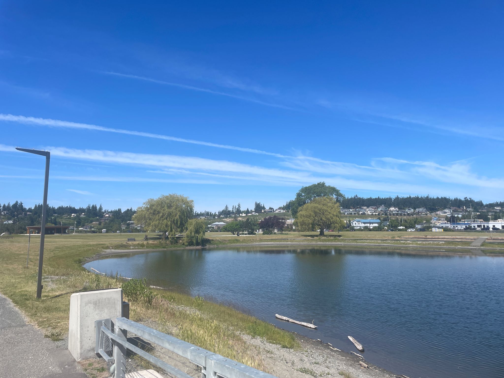 Sunny day over a calm lake with grassy banks and distant town. - Freund Marsh loop