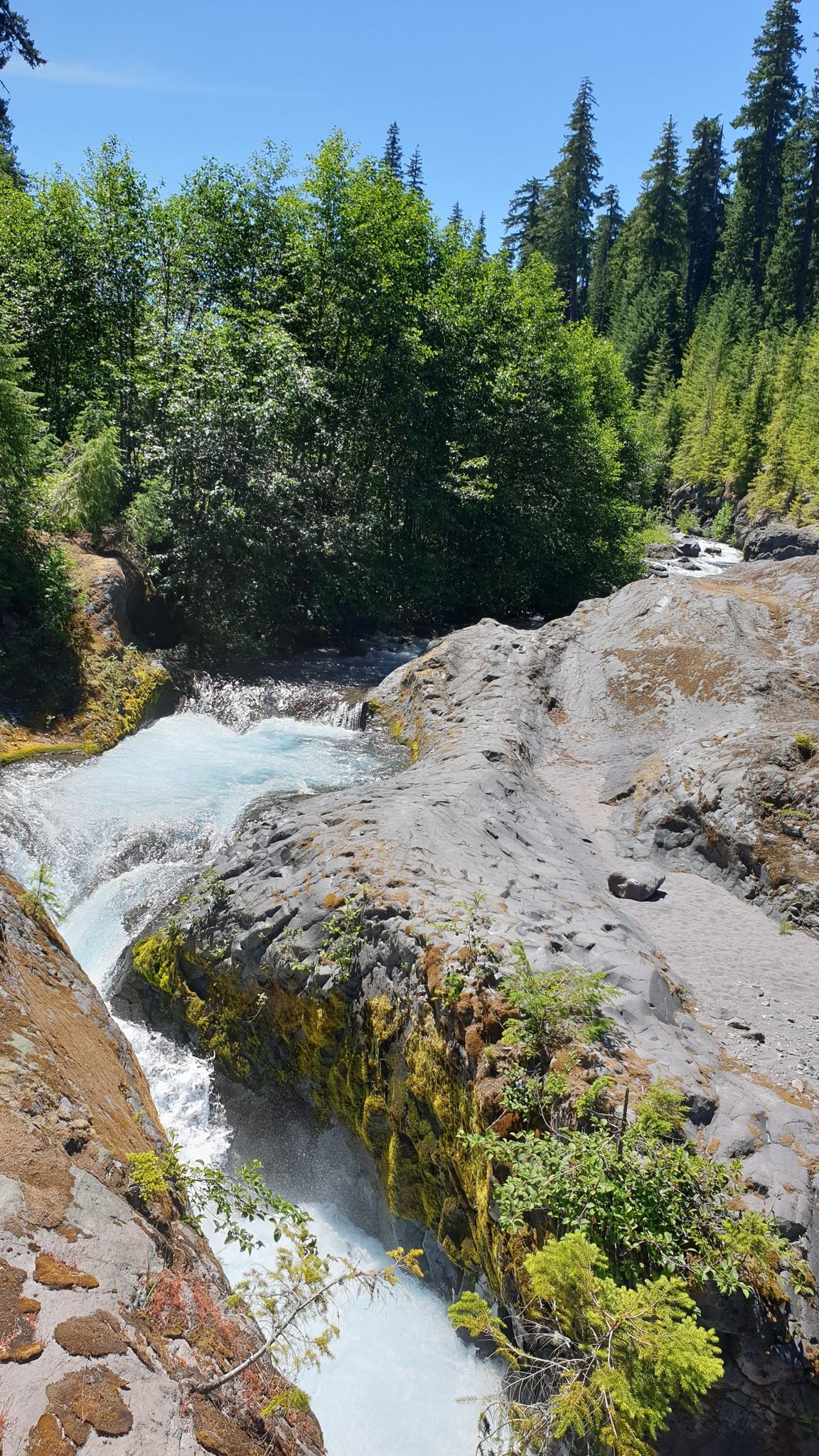 Rushing river through a rocky gorge, surrounded by green trees, bright daylight. - Lava Canyon Trail