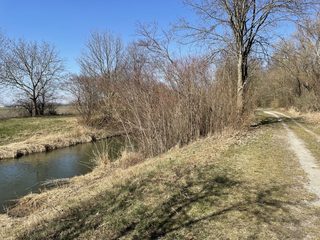 Marchfeldkanal