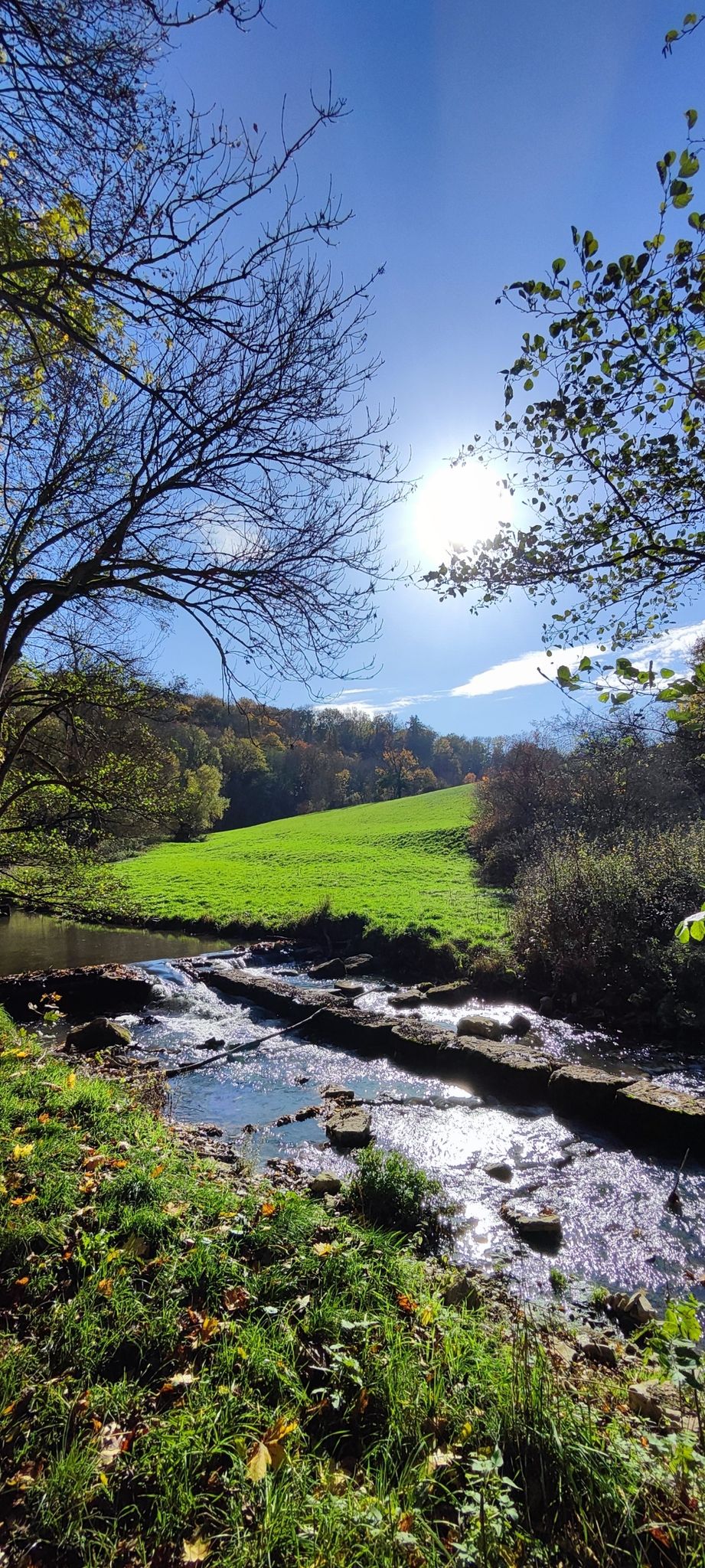 An der alten Papiermühle