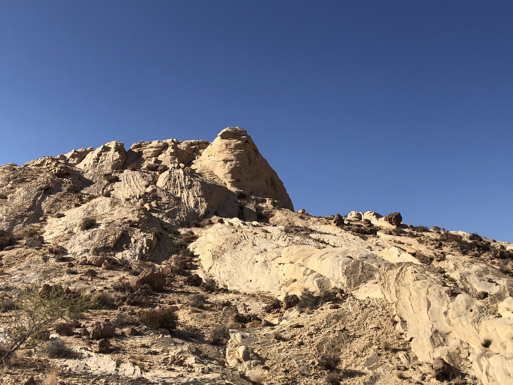 Close-up of a rugged, light-colored rocky hillside with sparse vegetation under blue sky. - Silica Dome Trail