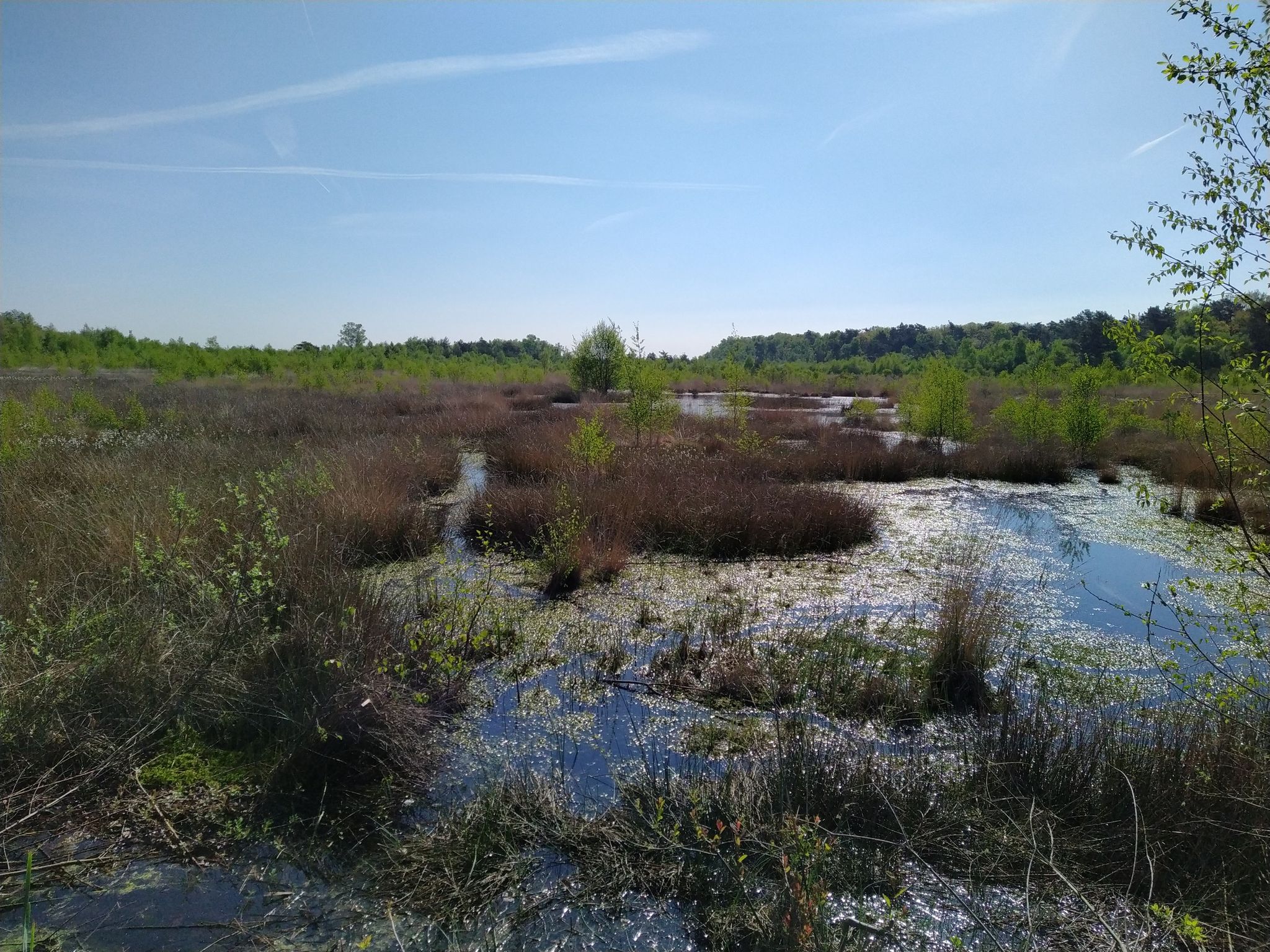 uitzicht hoogveen