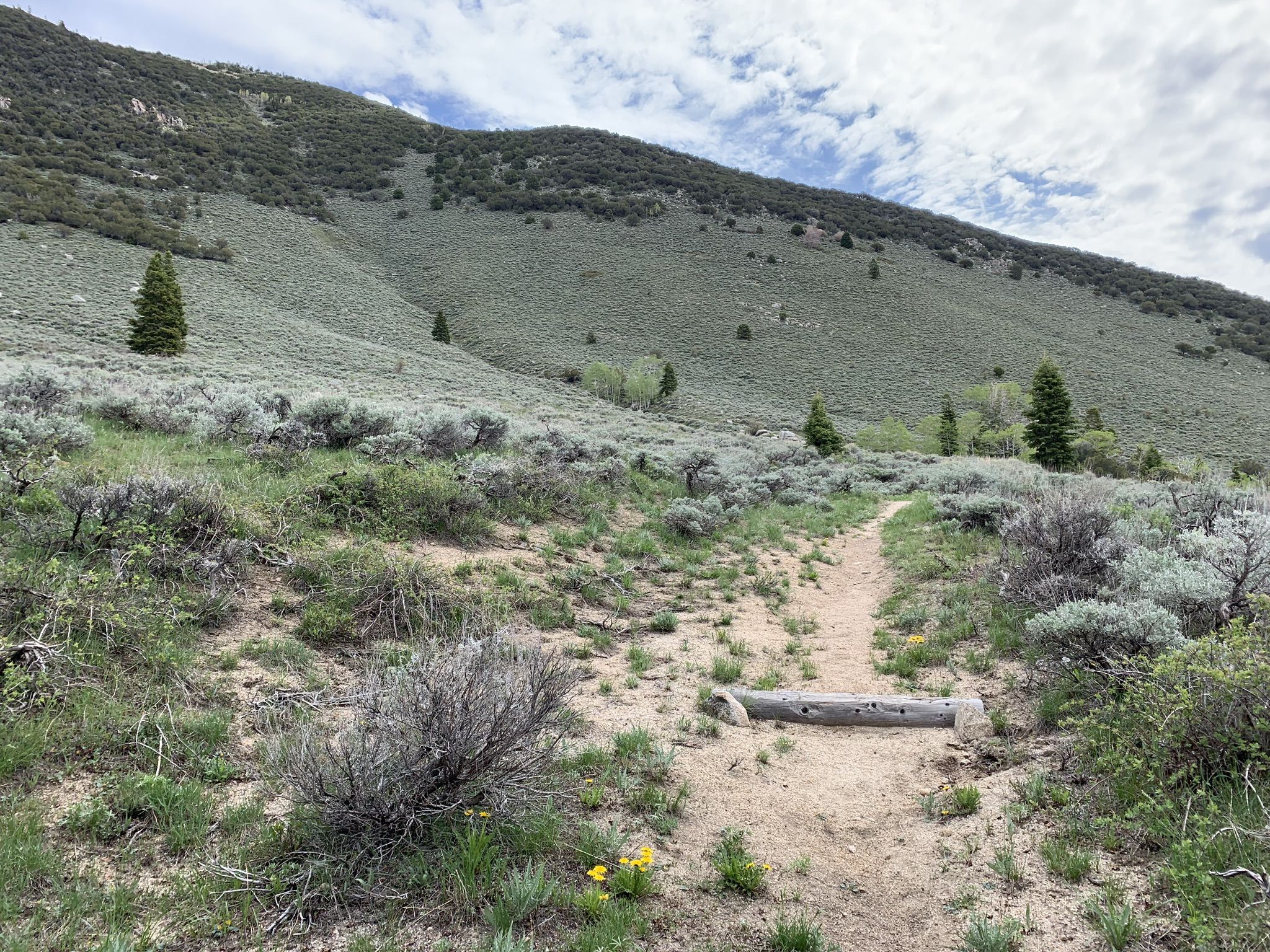 Dirt path with log step ascends a sagebrush-covered hillside under cloudy skies. - Johnson Lake and Dead Lake Loop
