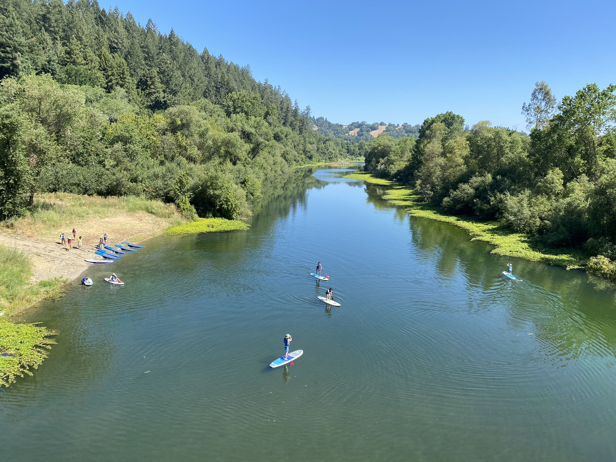 Several people paddleboard on a wide river surrounded by lush green forests. - Foothill Regional Park – Wohler Road Bridge loop from Santa Rosa North