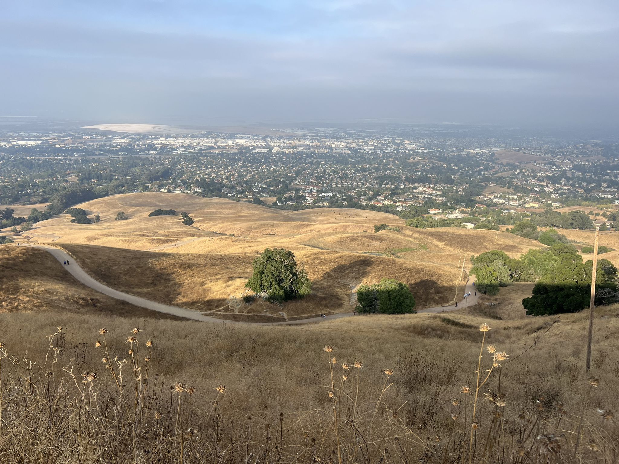 Golden dry hills with a winding path, scattered trees, and a hazy distant city. - Hidden Valley Trail