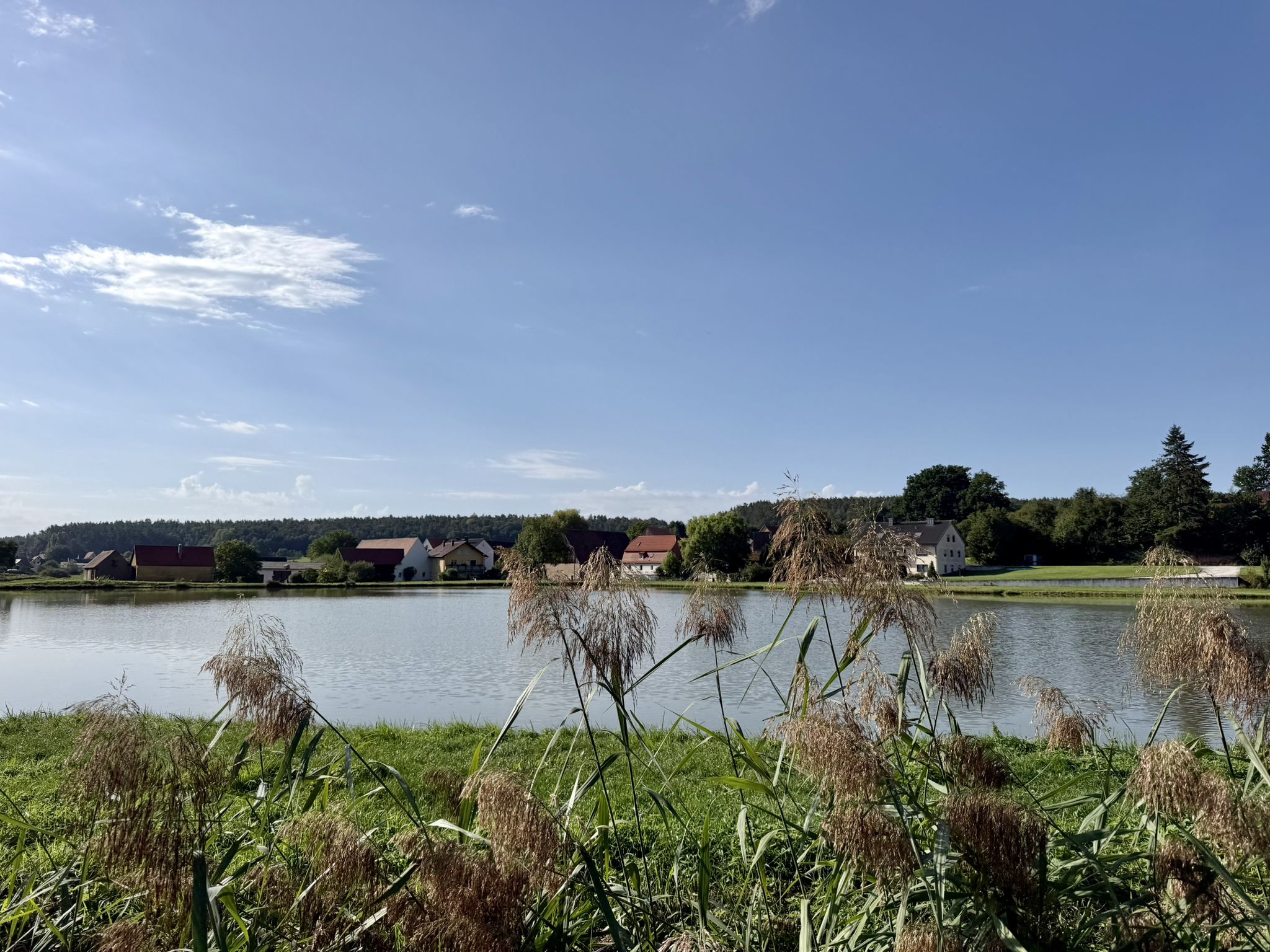 Hausweiher im Albachtal
