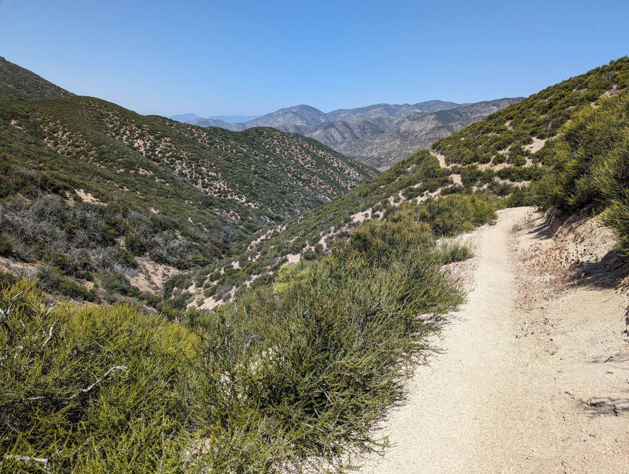Dirt trail winding through green, brush-covered mountains under clear sky. - Pacific Crest Trail