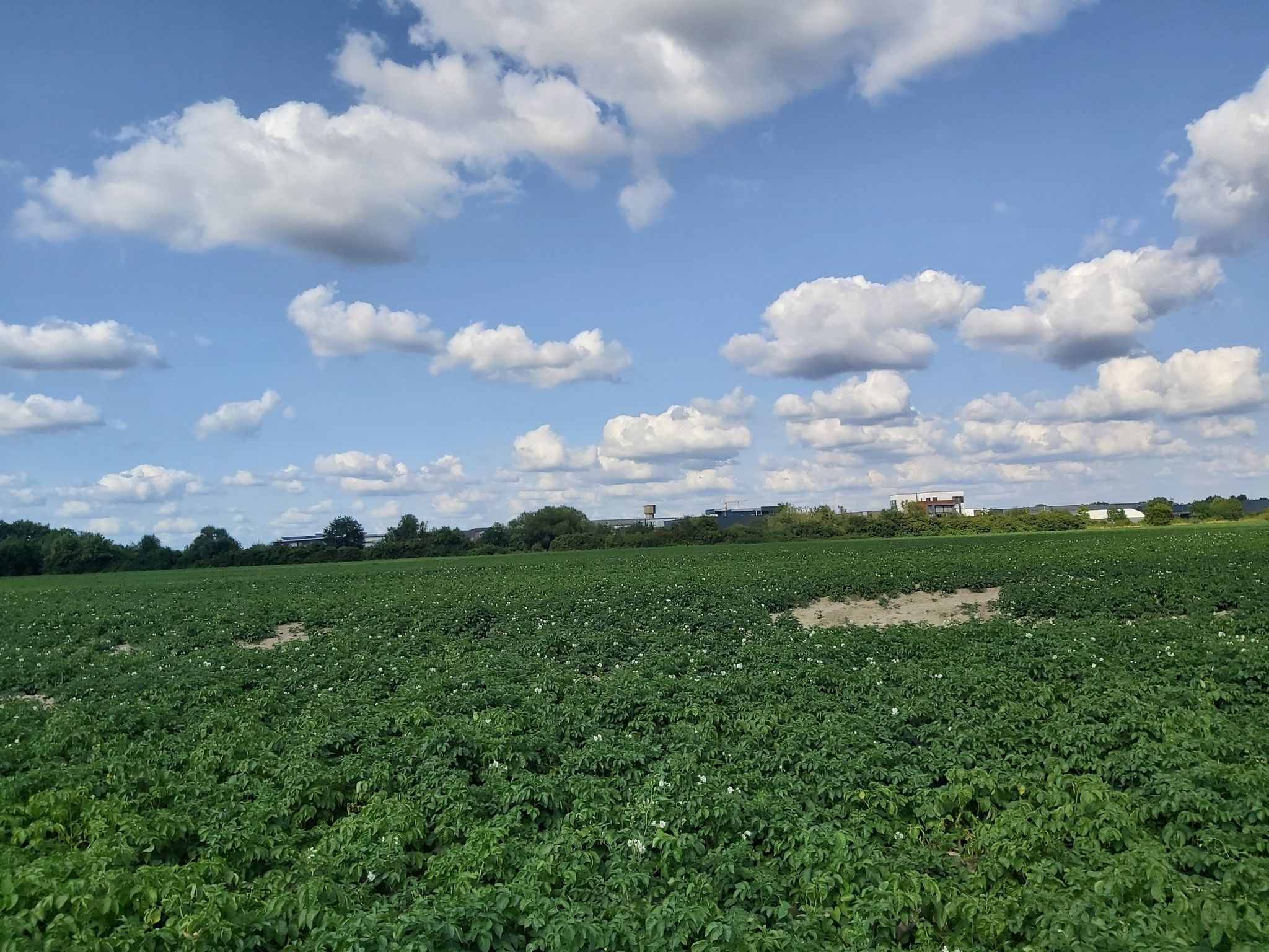 Gewerbegebiet Münchheude
