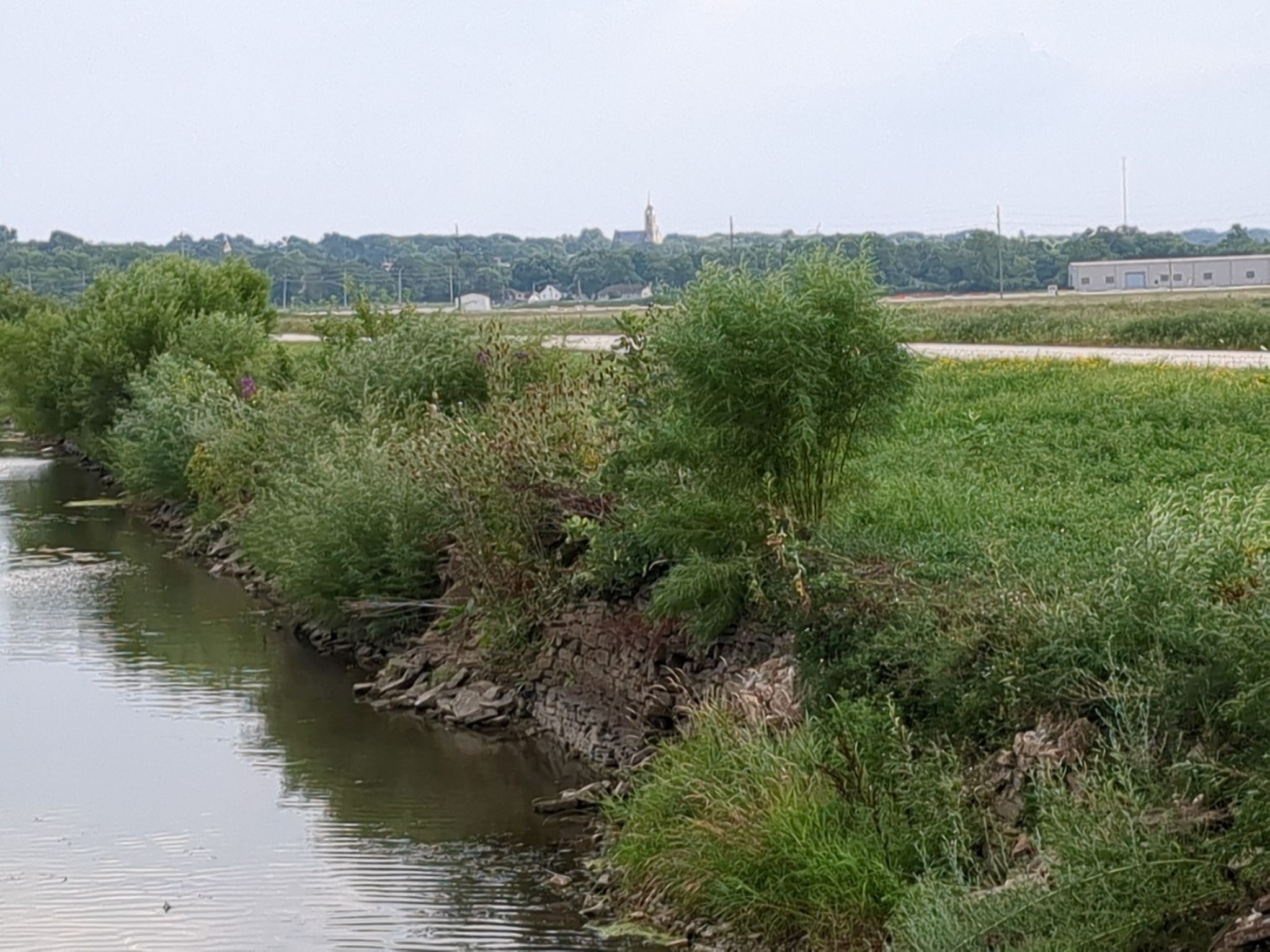 A narrow waterway with green banks and distant buildings under an overcast sky. - Lock Number 1 loop from Lockport