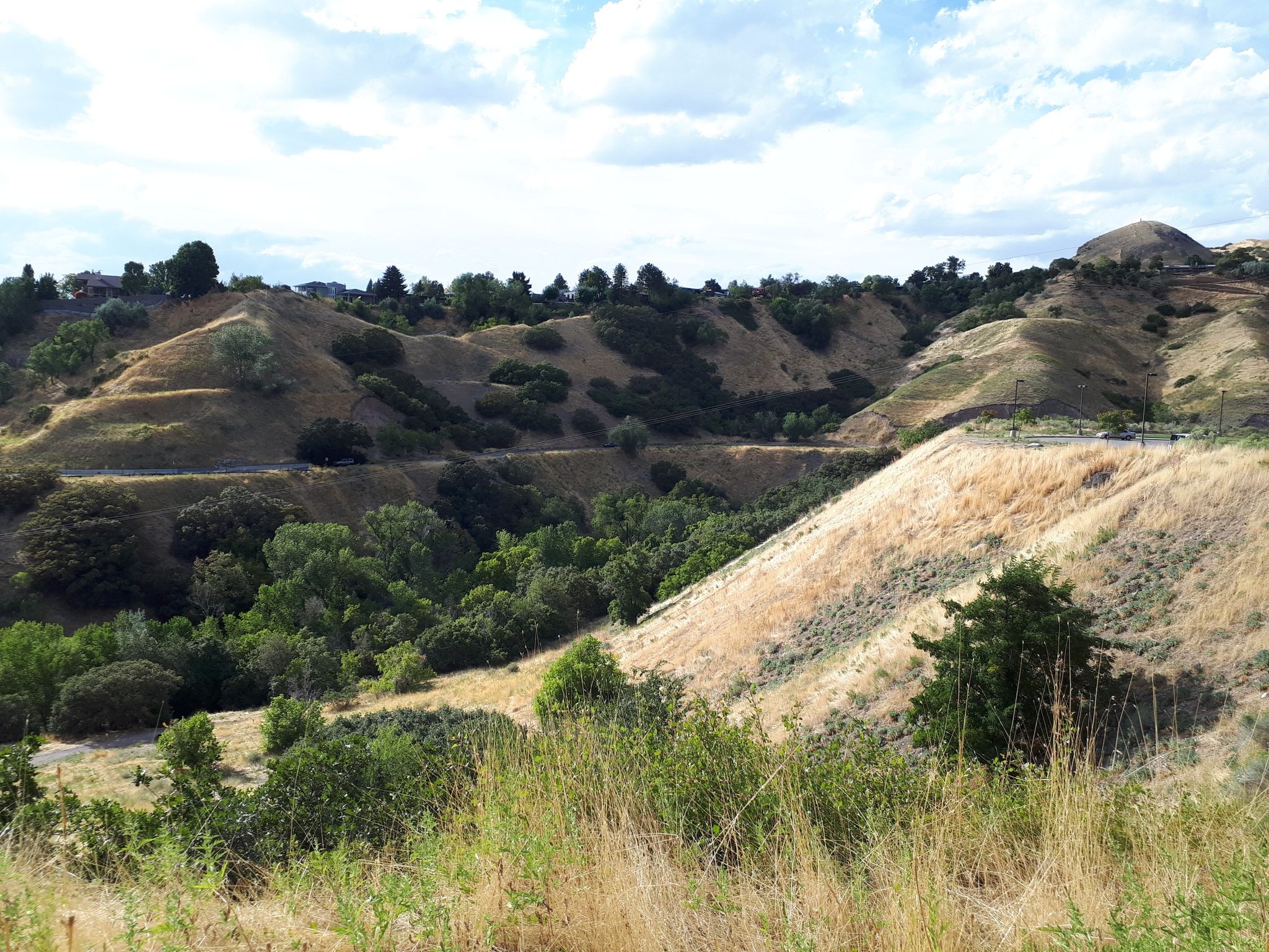 Rolling hills with dry and green vegetation under a partly cloudy sky. - Little Mountain Summit – Big Mountain Pass loop from Woods Cross