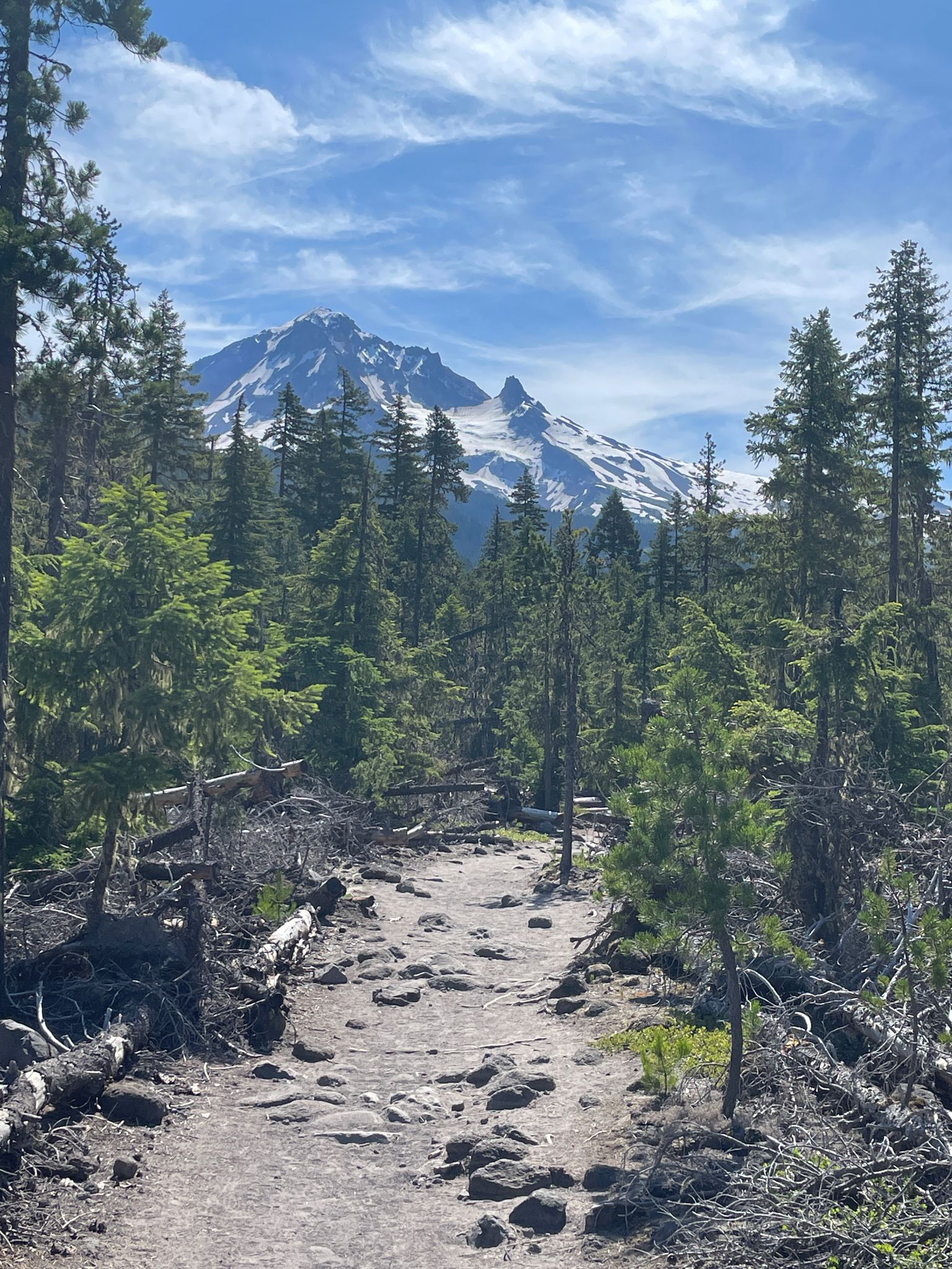 Rocky trail leading towards a snow-capped mountain under a blue sky. - Ramona Falls Loop Trail