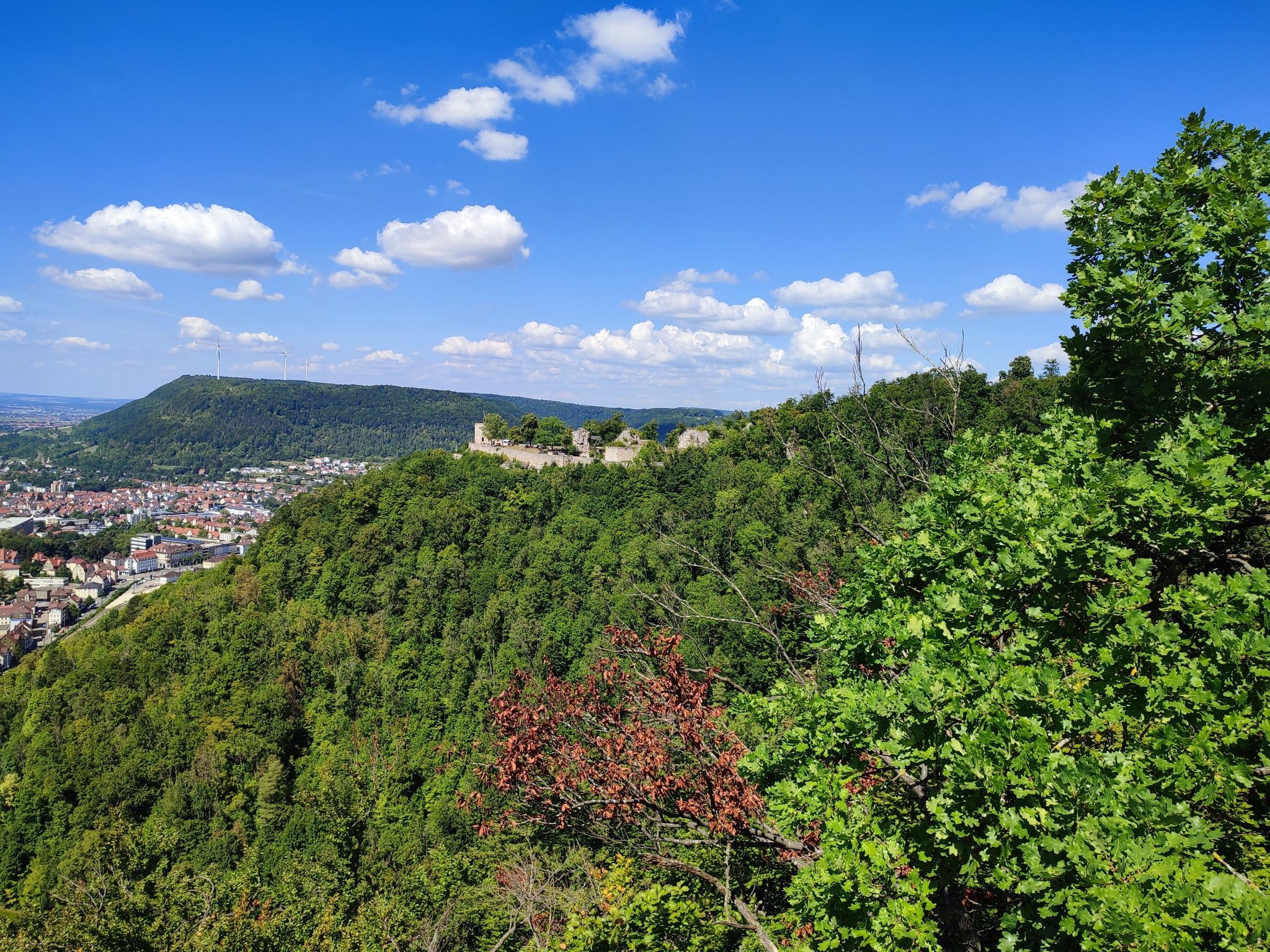 Blick zur Burgruine Helfenstein