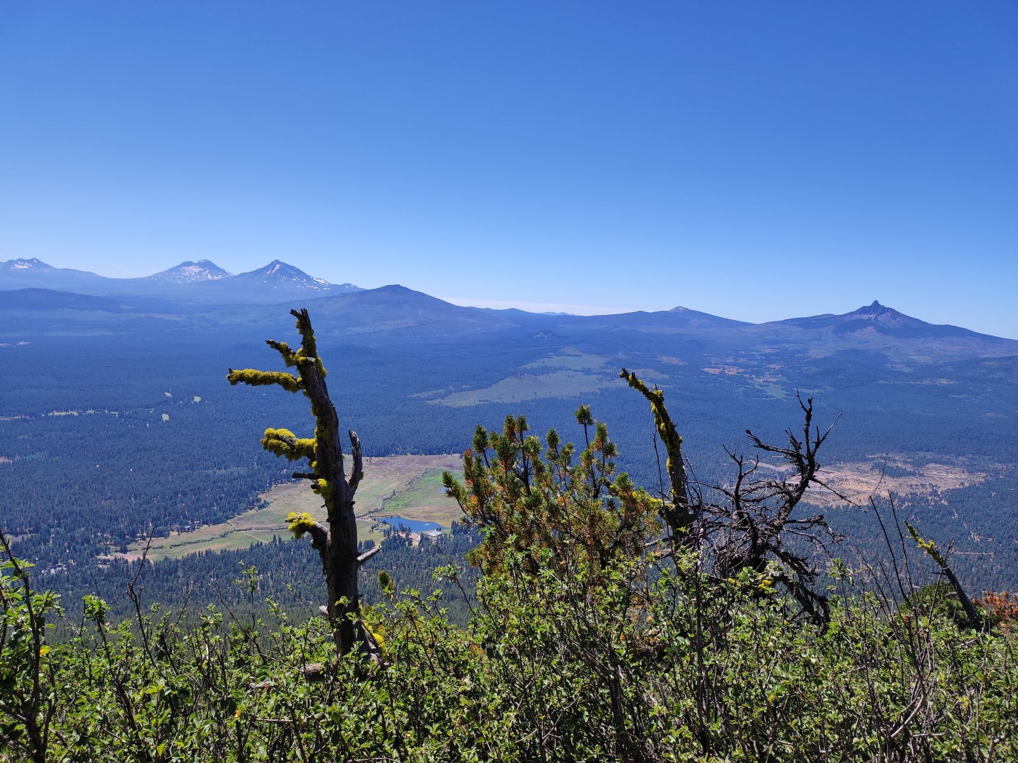 Dead trees and green bushes frame a view of distant mountains and a valley. - Black Butte Trail