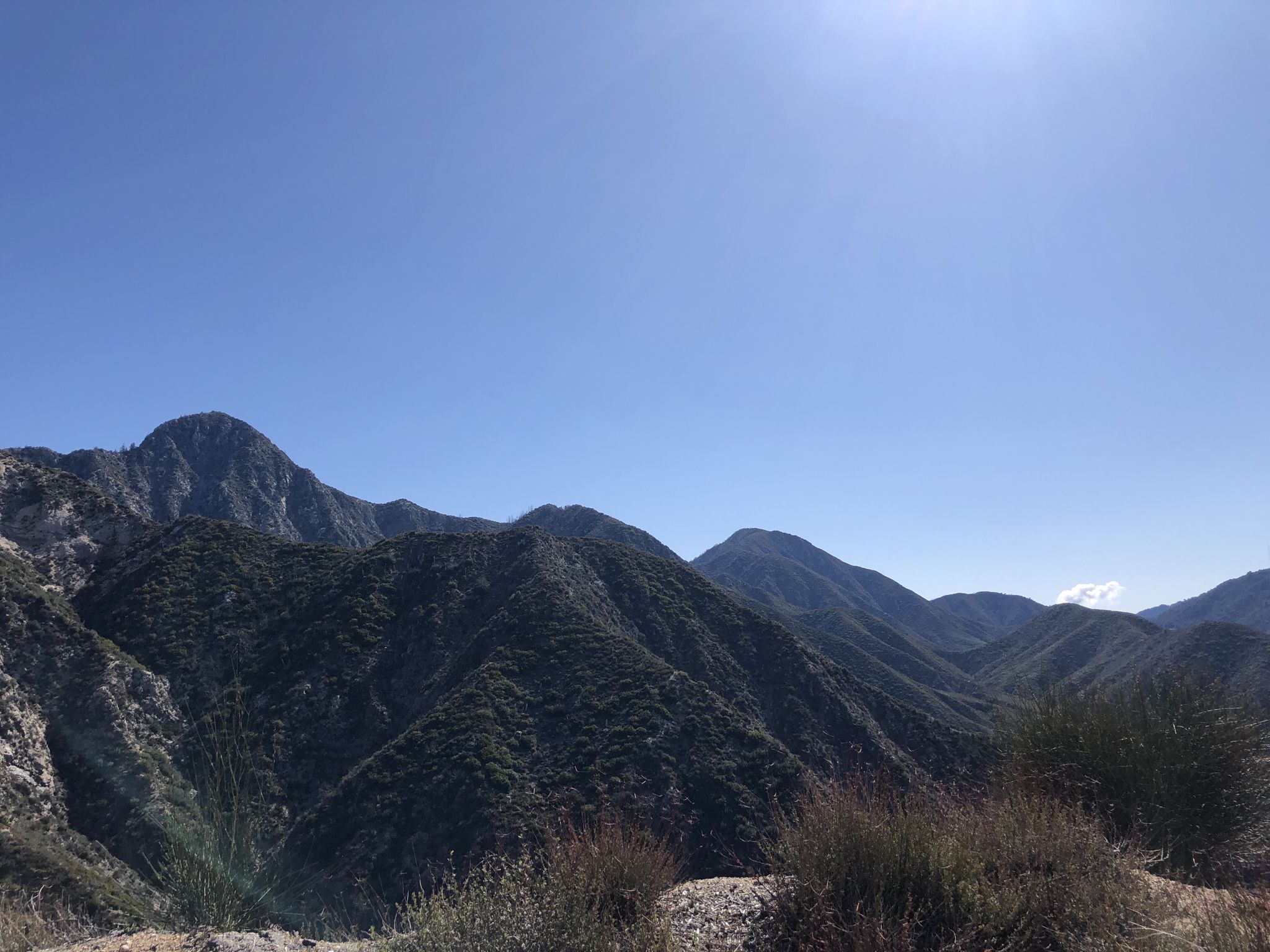 Sunny view of forested mountain ranges under a bright blue sky. - Josephine Peak Trail