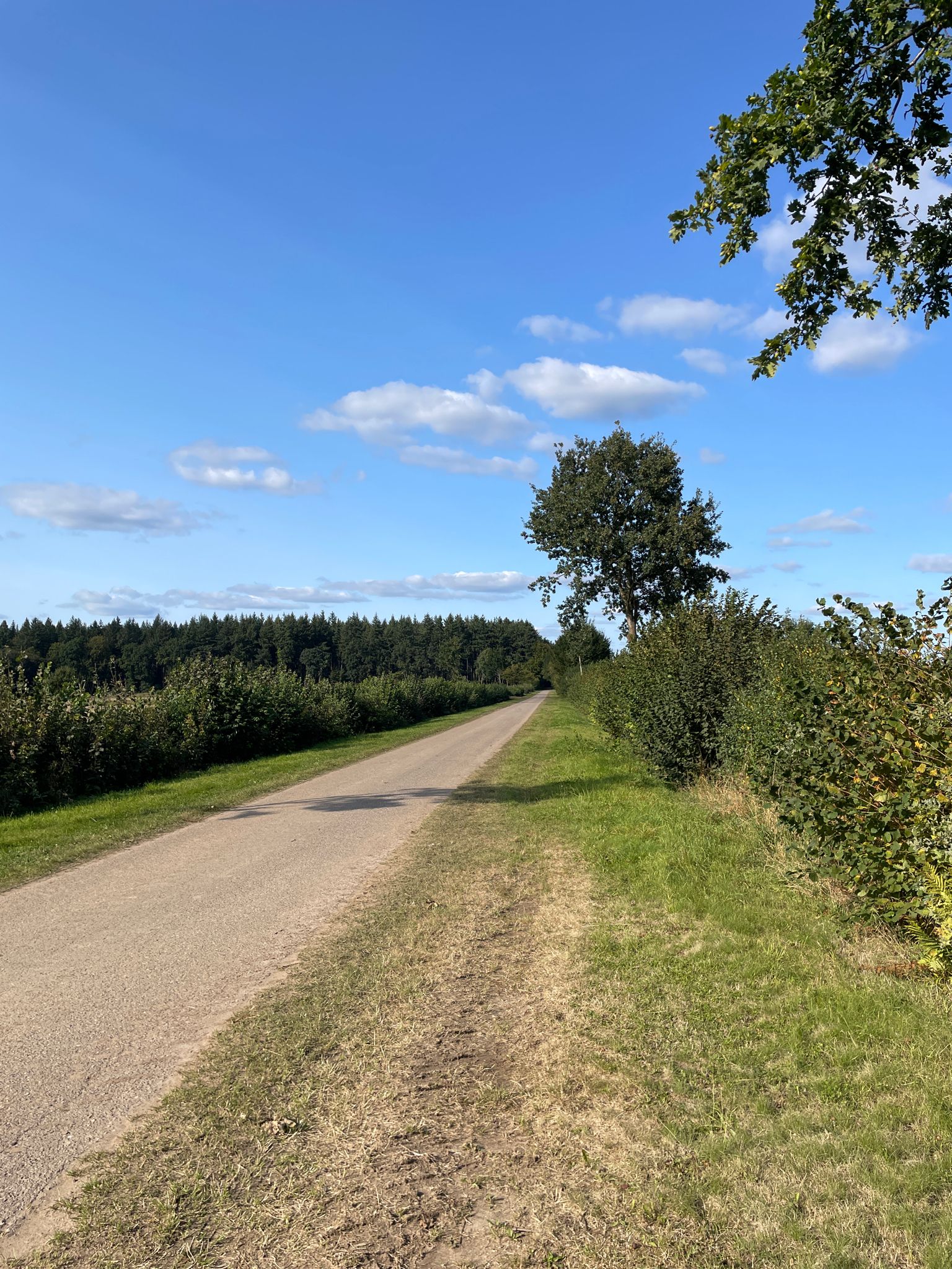 Gammerweg