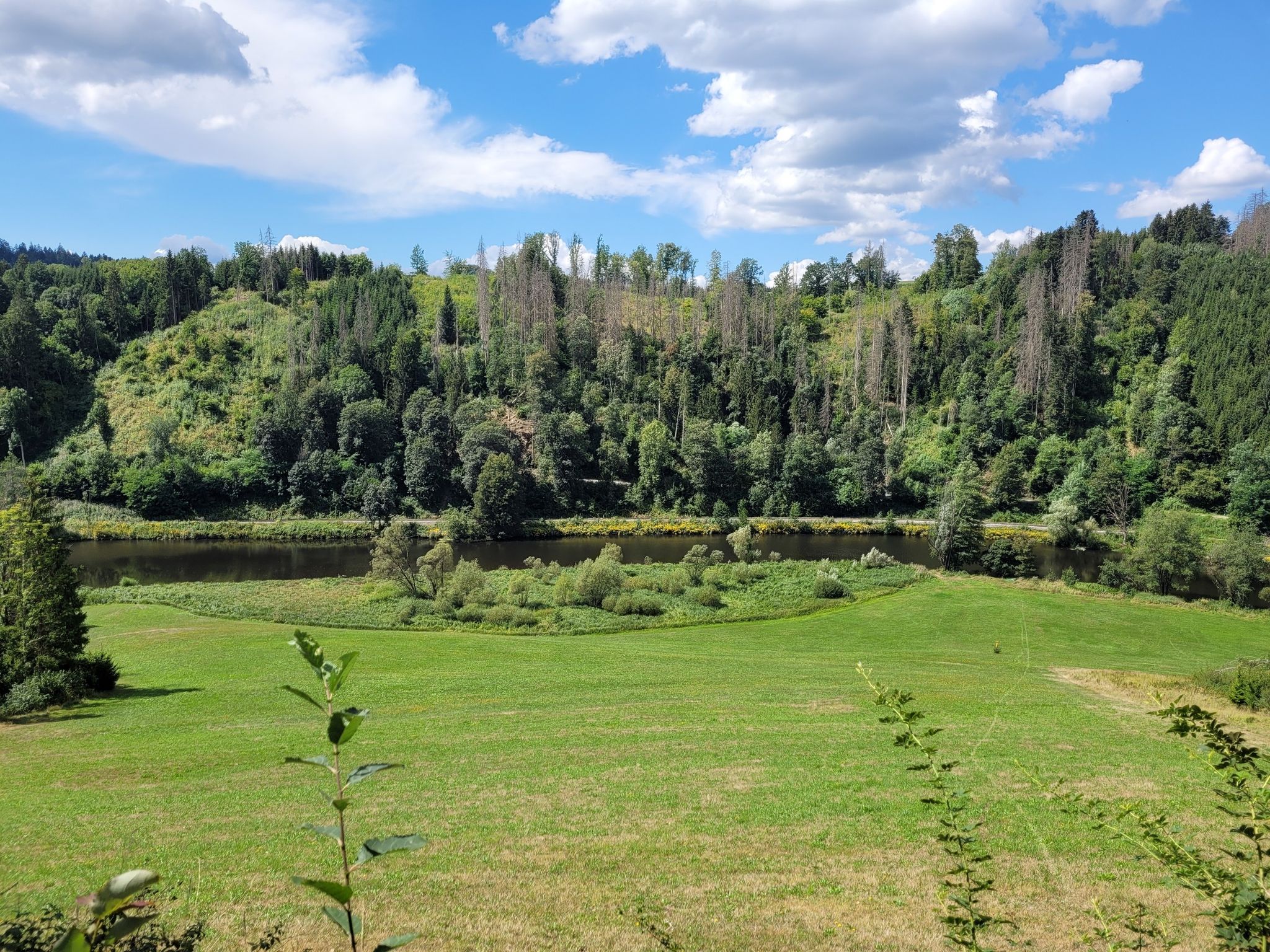 Blick auf Ilztal