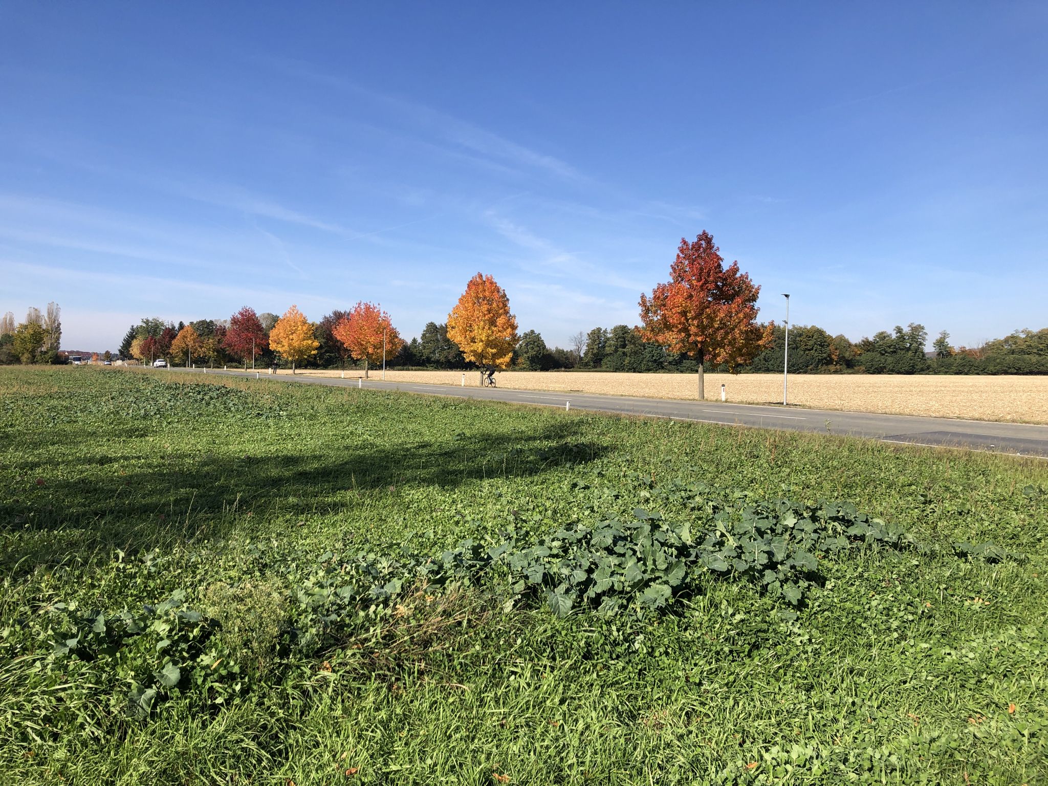 Herbststimmung in Moravske Toplice