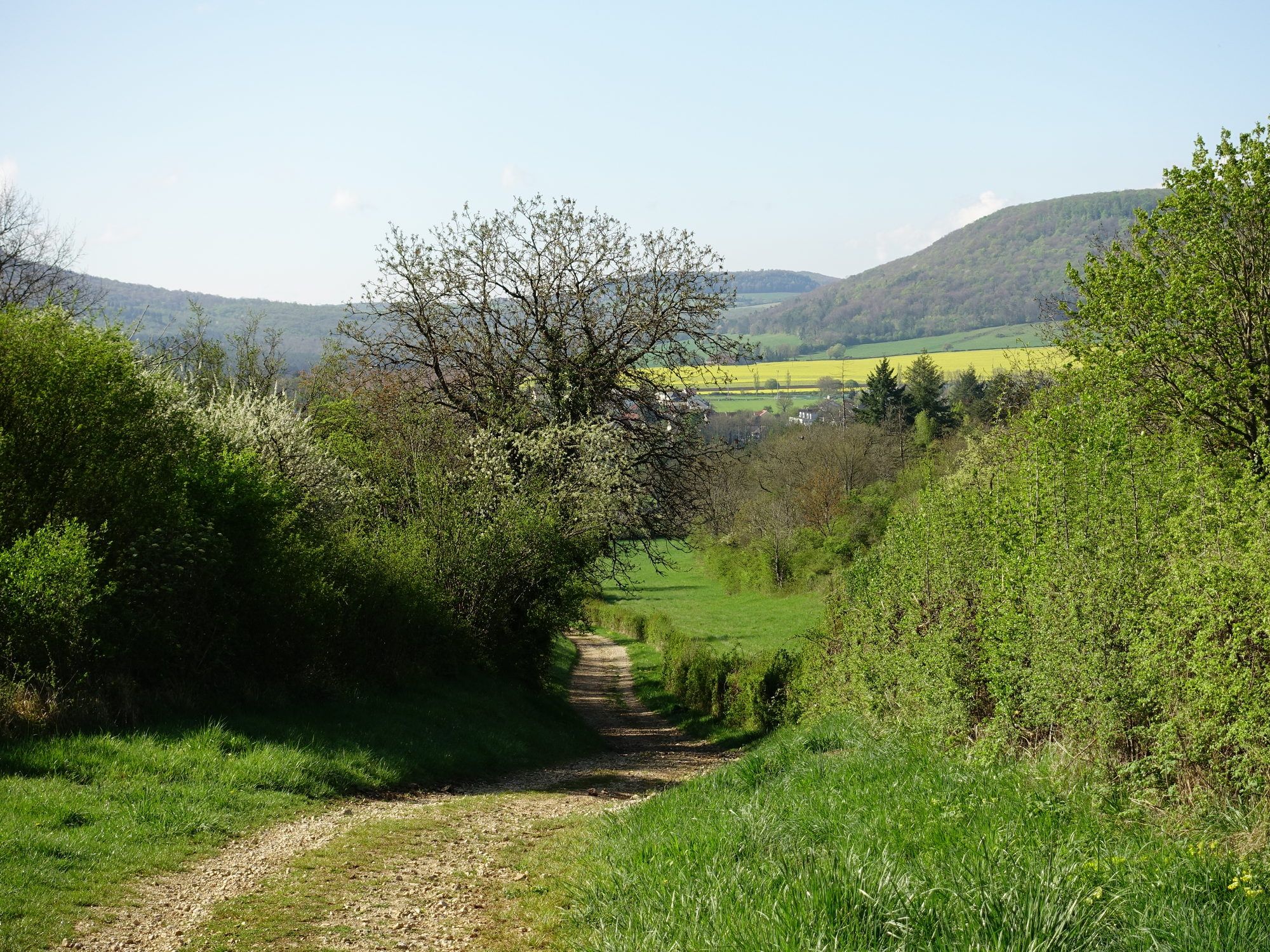 Combe au Sène
