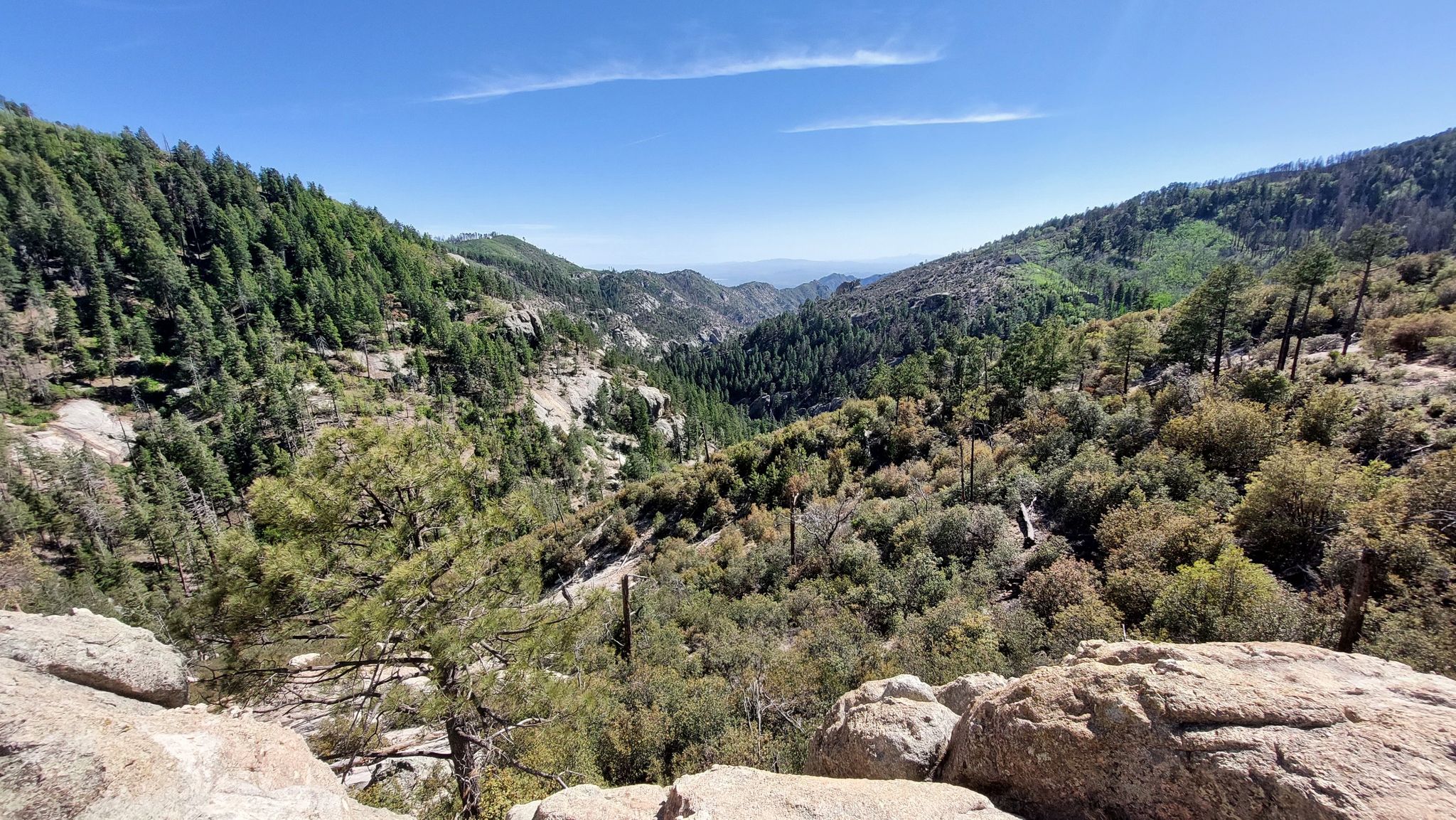 A deep, forested mountain valley under a bright blue sky. - Sunset Trail #90