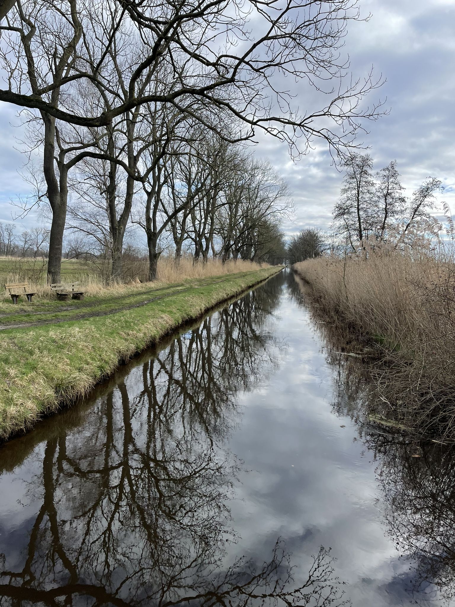 Am Allerkanal