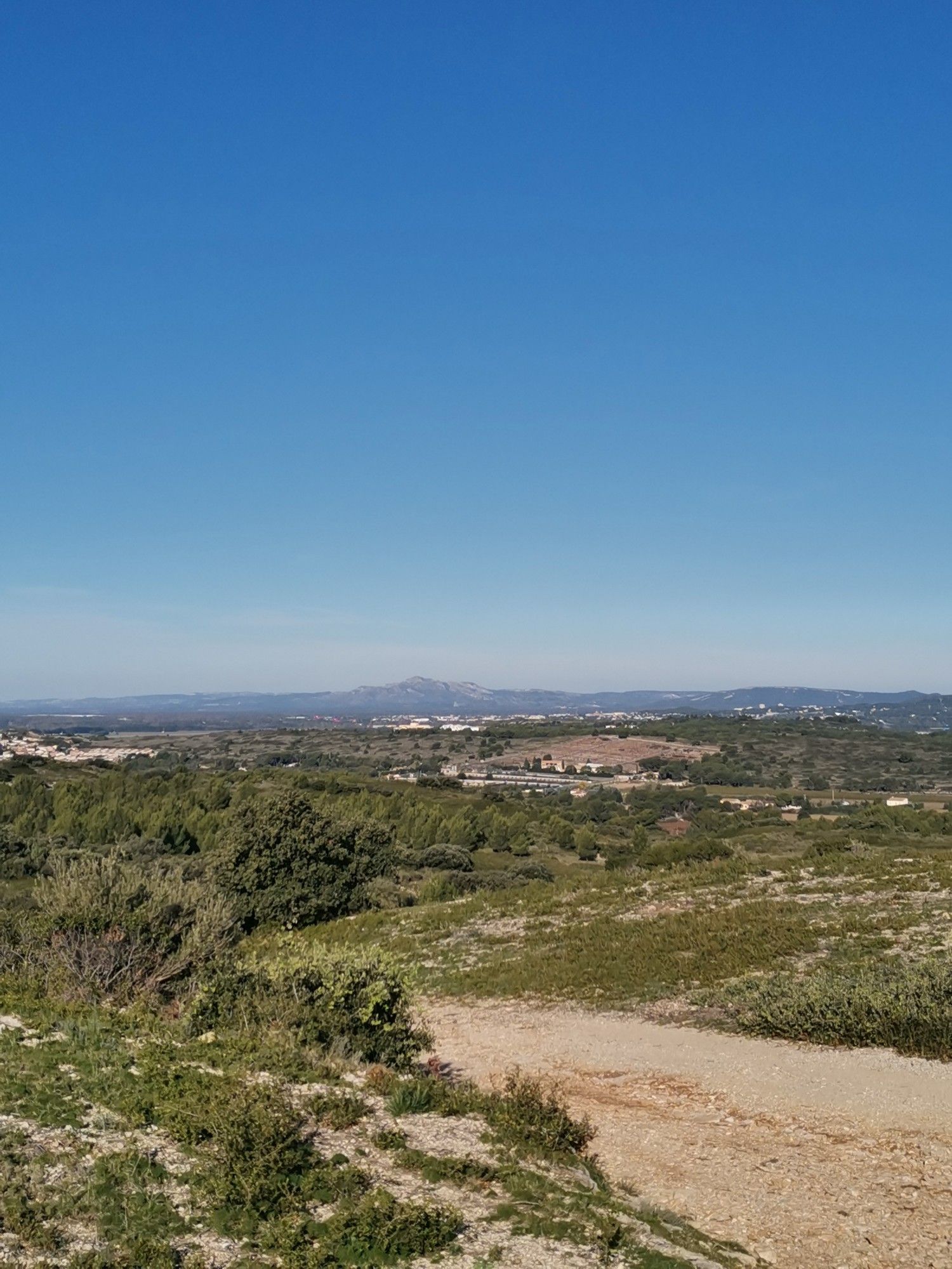 vue sur les Alpilles