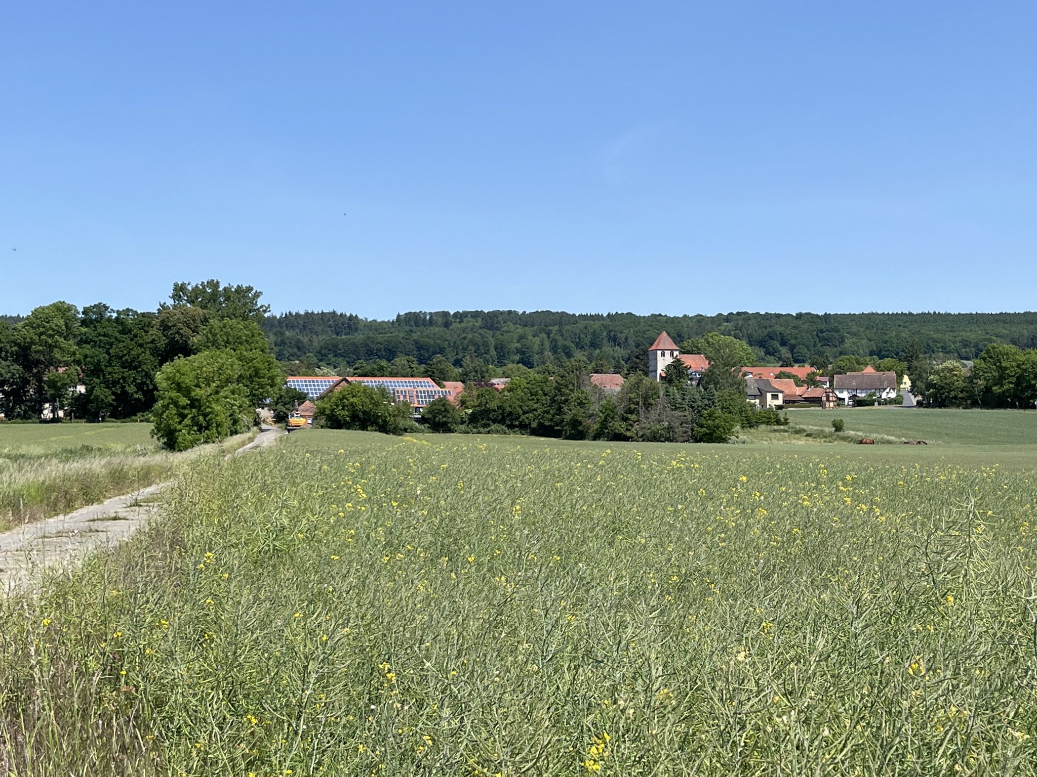 Blick auf Ampleben