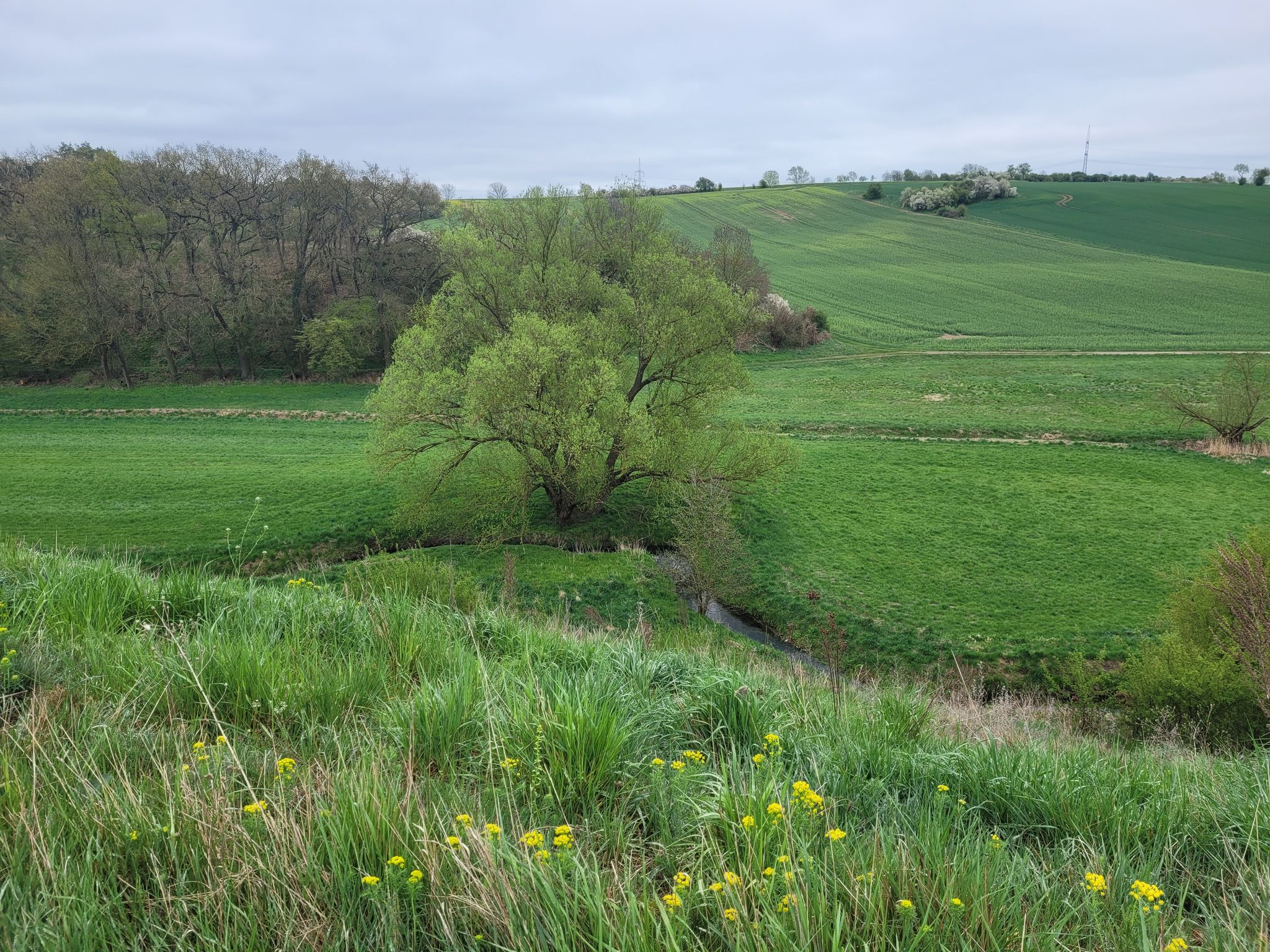 unten flesst die Beber - links Wellenberge 124m, rechts Gieseberg 122m