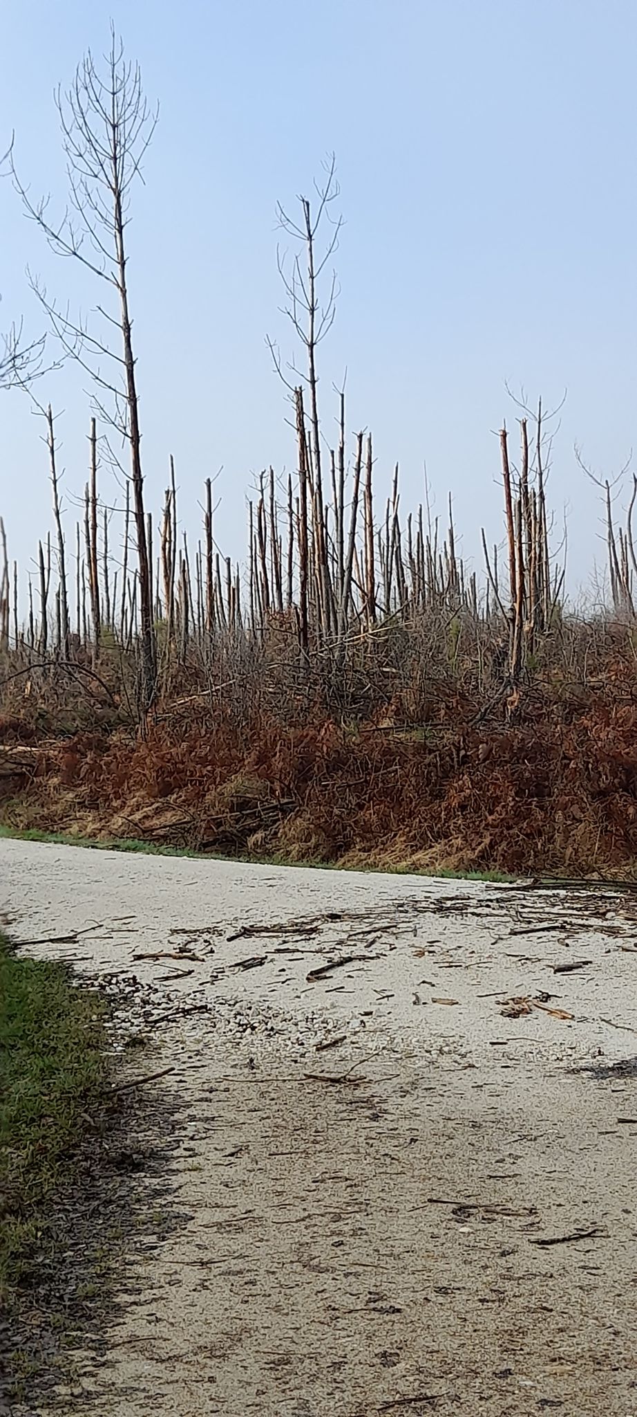 storm damage summer 2022