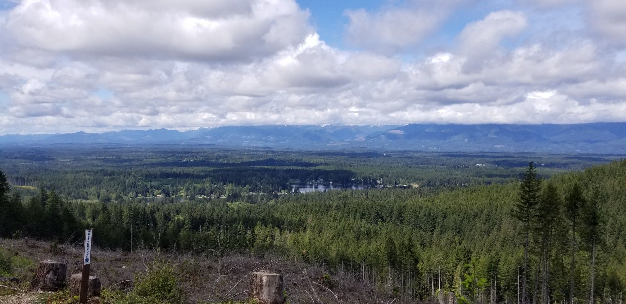 Wide view of a vast green forest, distant lake, and mountains under a cloudy sky. - Running loop from Kitsap Peninsula