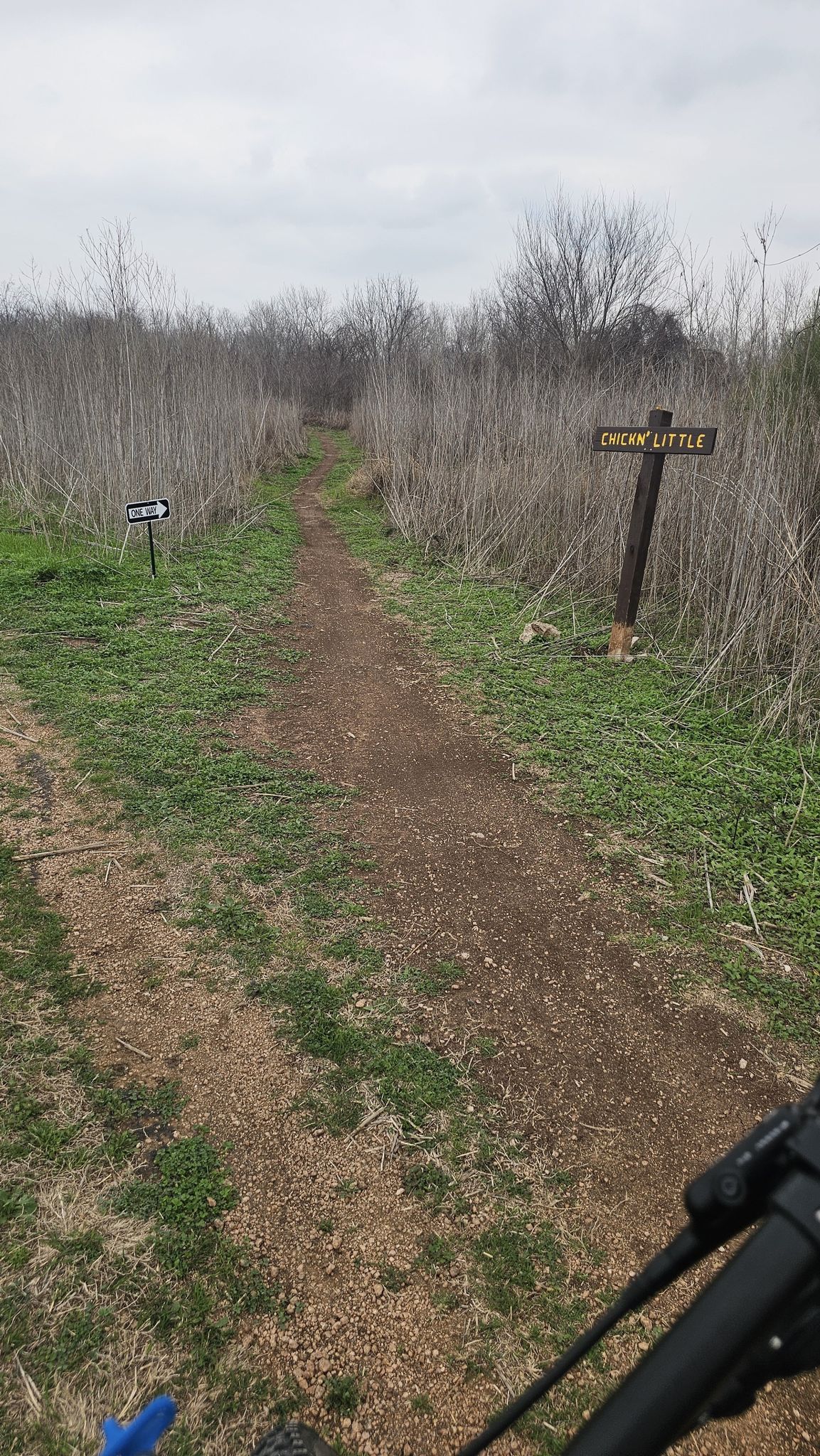 A dirt path through dry tall grass with two trail signs and bike handlebars. - Bike loop from Clements High School