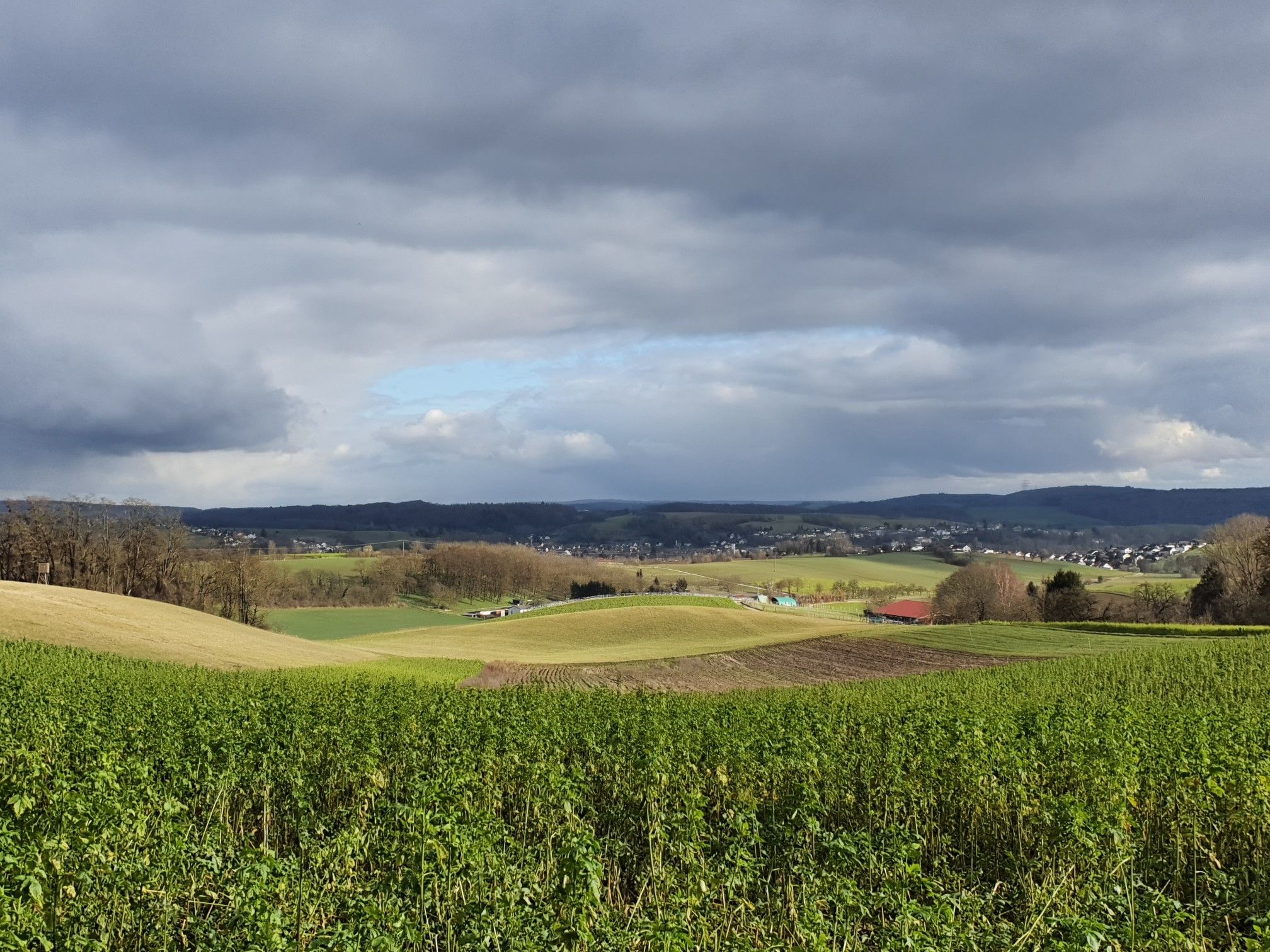 Blick auf Mauer