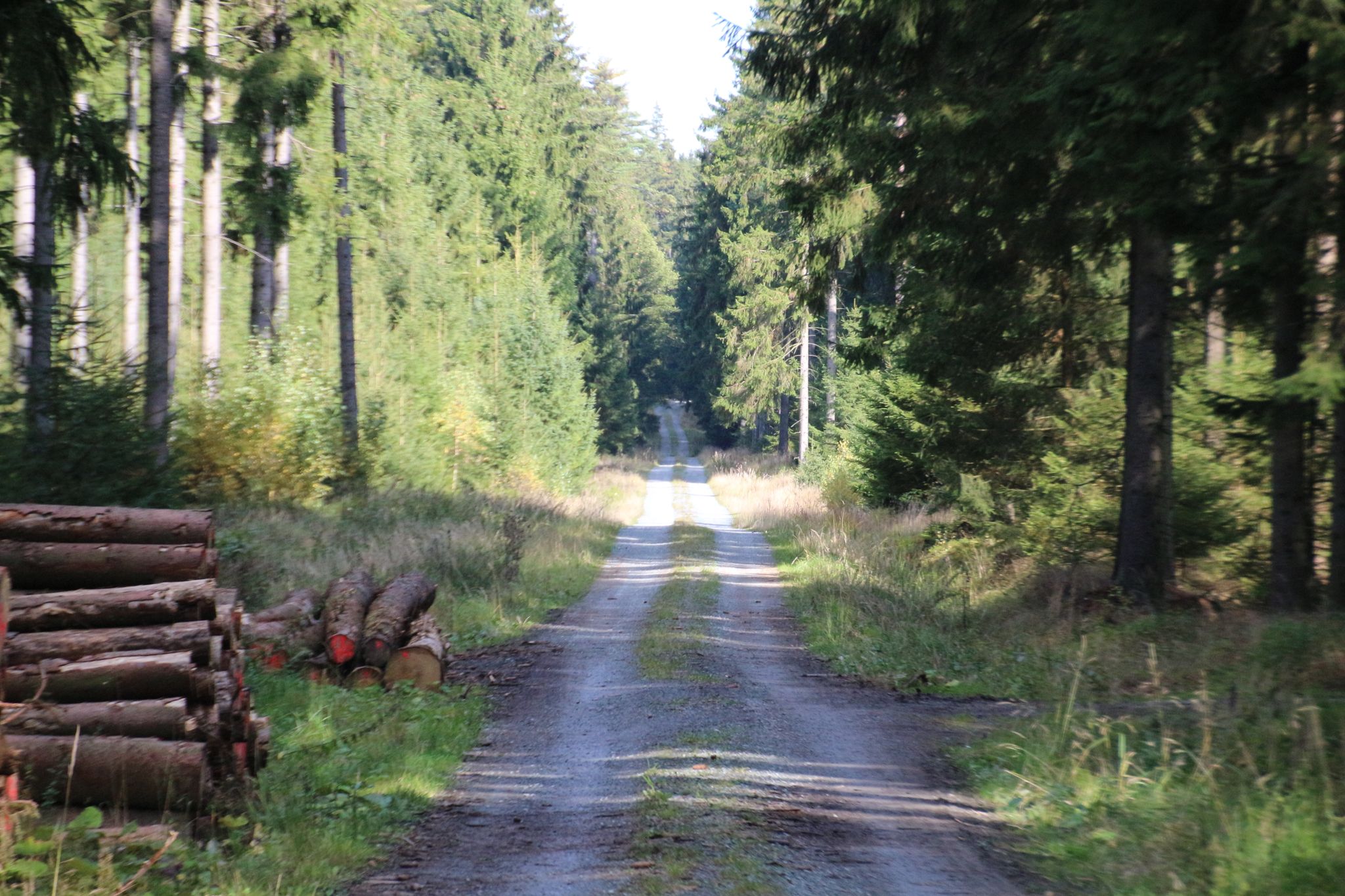 Langewiesenweg