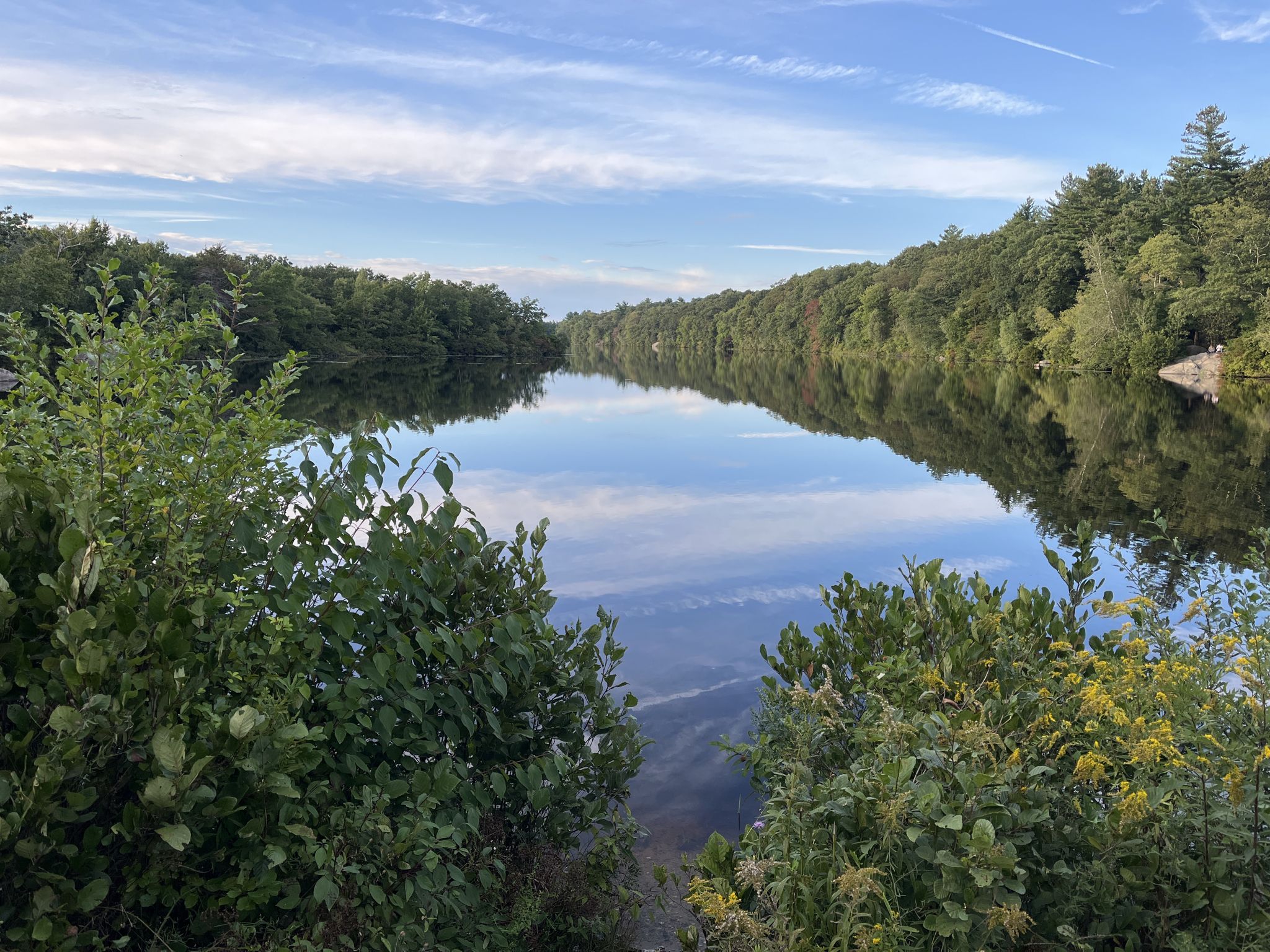 Calm lake perfectly reflecting the blue sky and green surrounding trees. - Ames Nowell State Park Loop