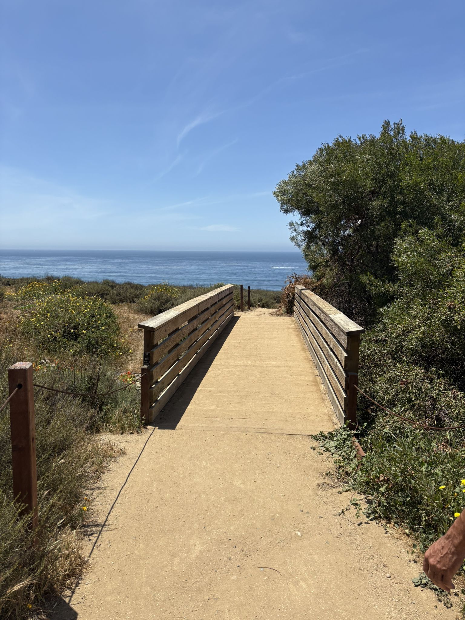 Wooden boardwalk path leading to the ocean, surrounded by green coastal vegetation. - Sunset Cliffs Park Trail