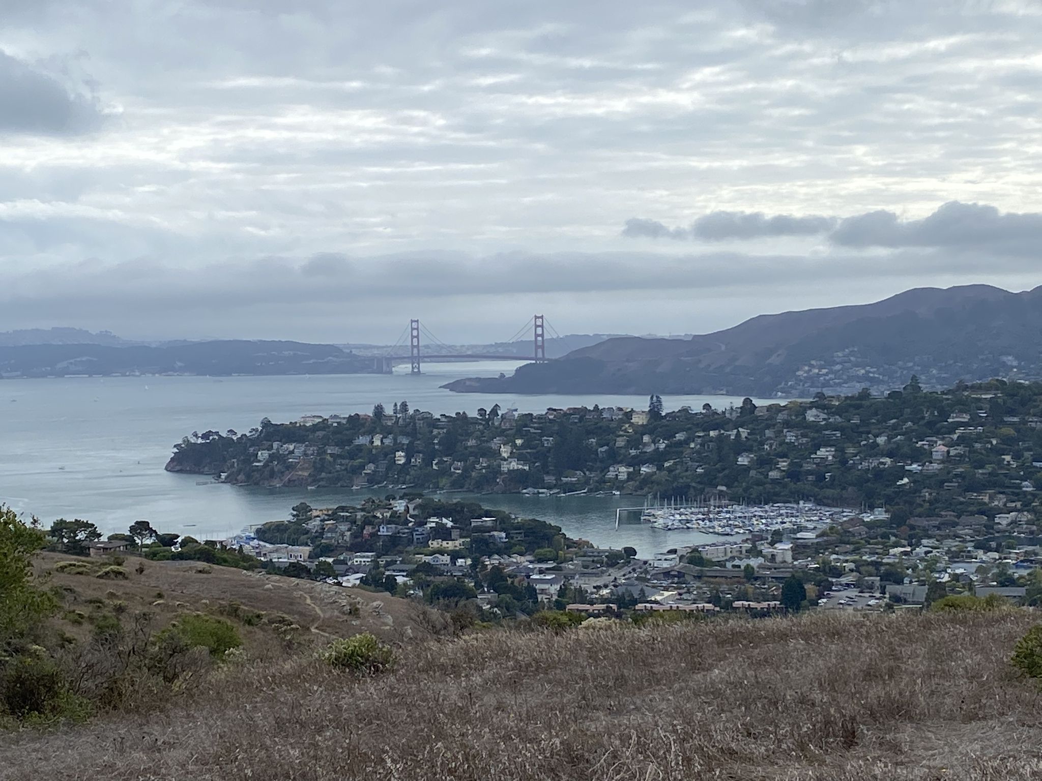 Overcast view of a distant bridge, a town, and a marina. - Picnic Rock – Old St Hilary Church ⛪ loop from Tiburon