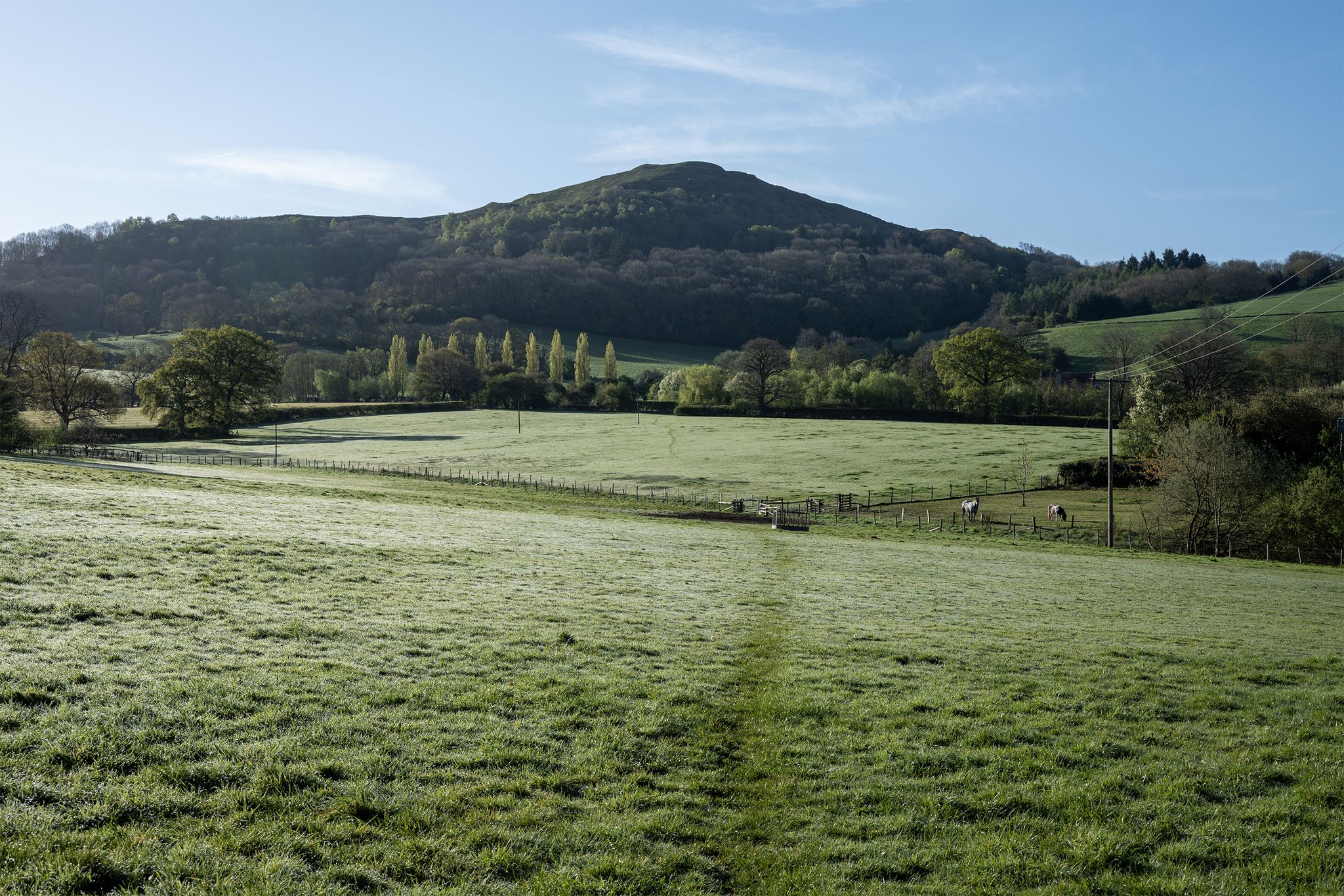 Early light on Herefordshire Beacon