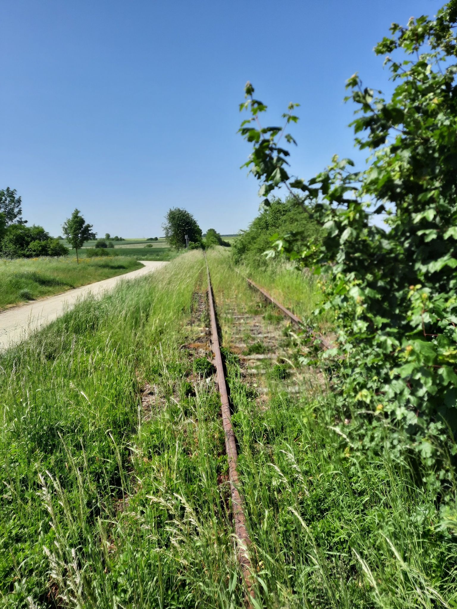 alte Gleisanlagen der ehem. Steigerwaldbahn