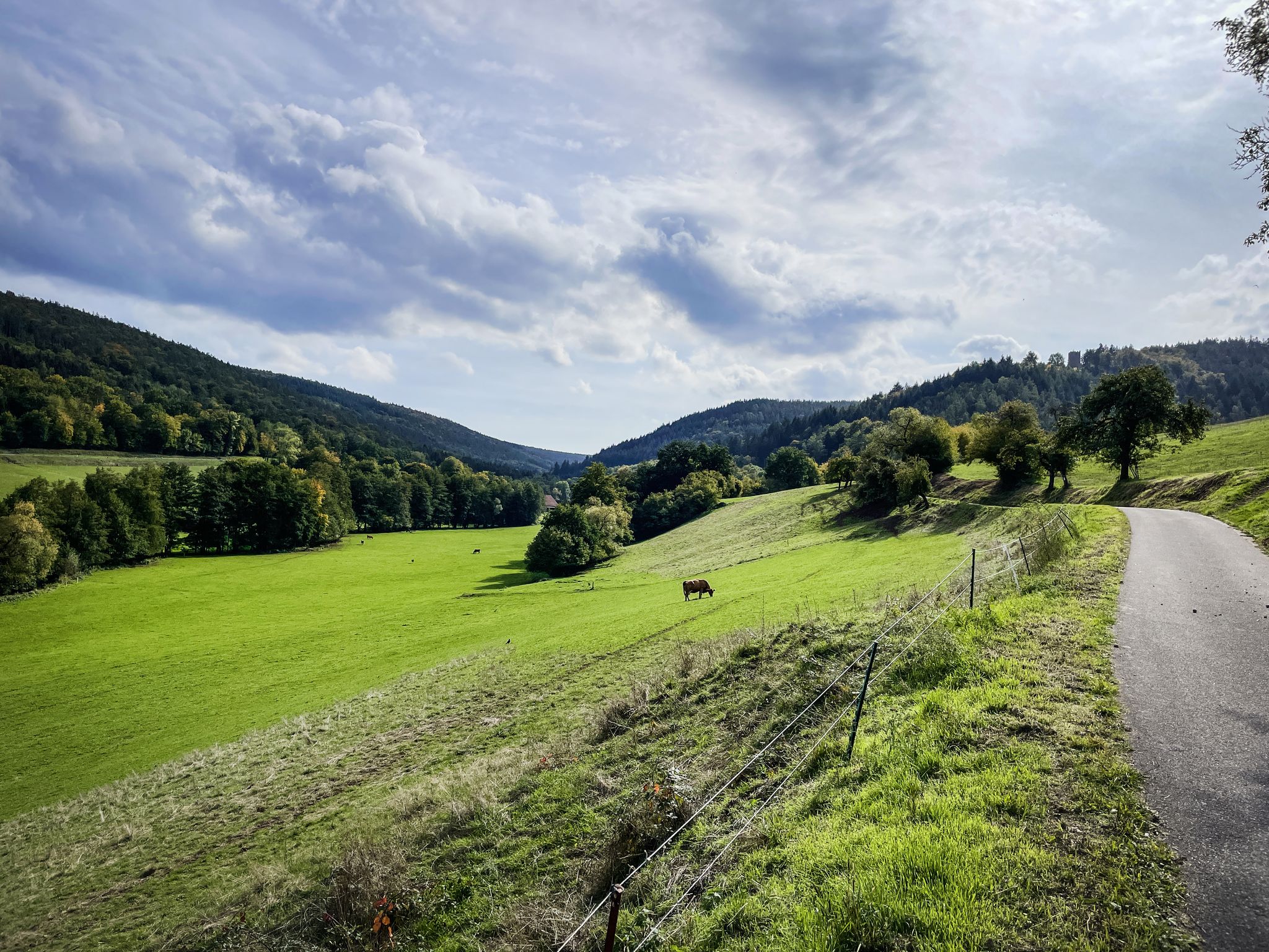 Weg zur Wildenburg, von komoot hier hin gesetzt